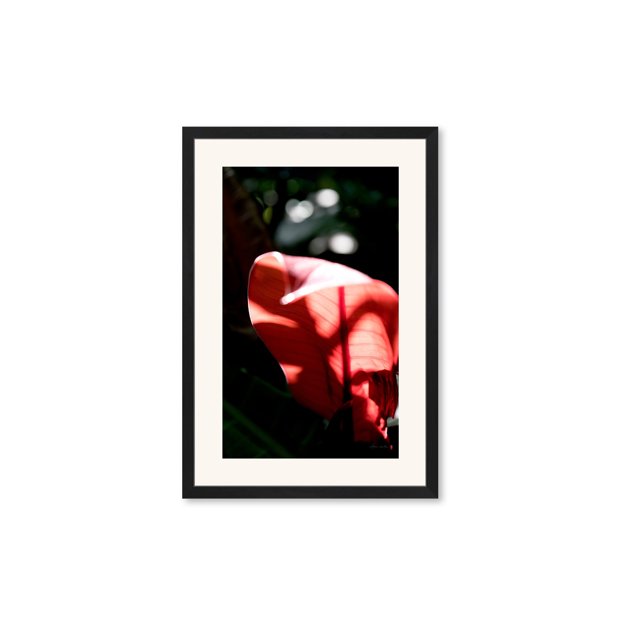 Macro no. 23