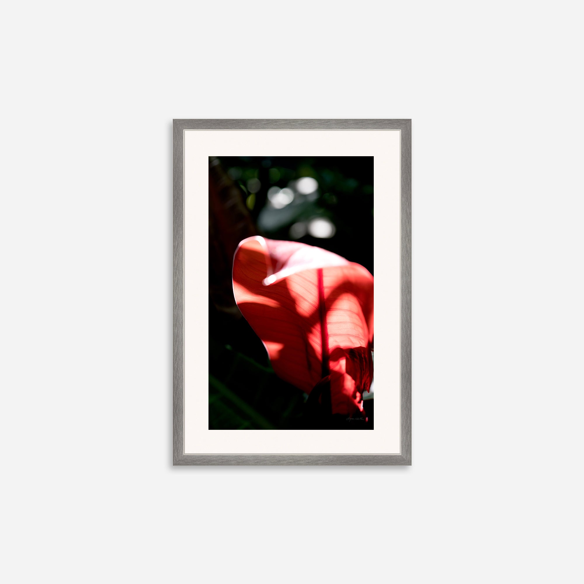 Macro no. 23