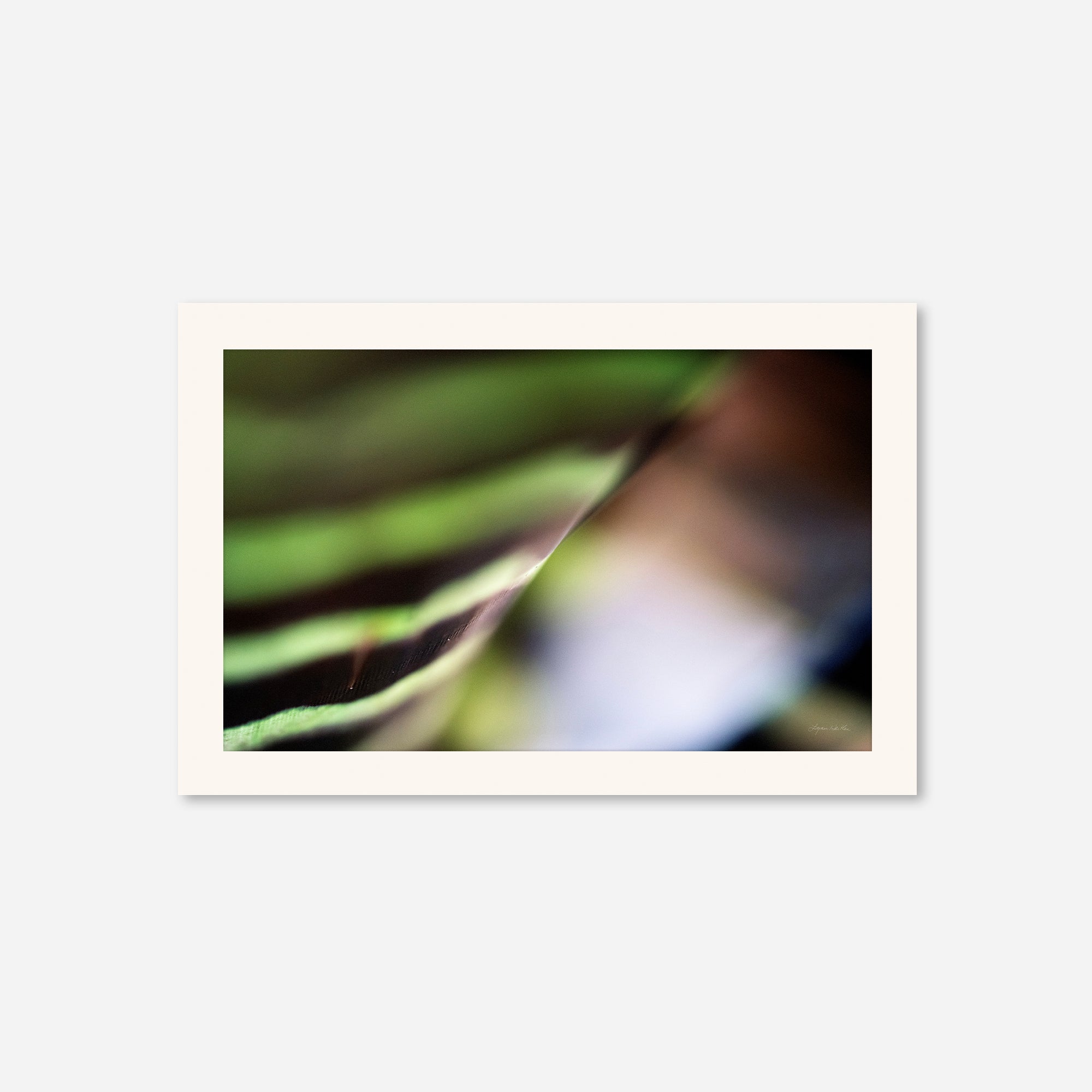 Macro no. 22