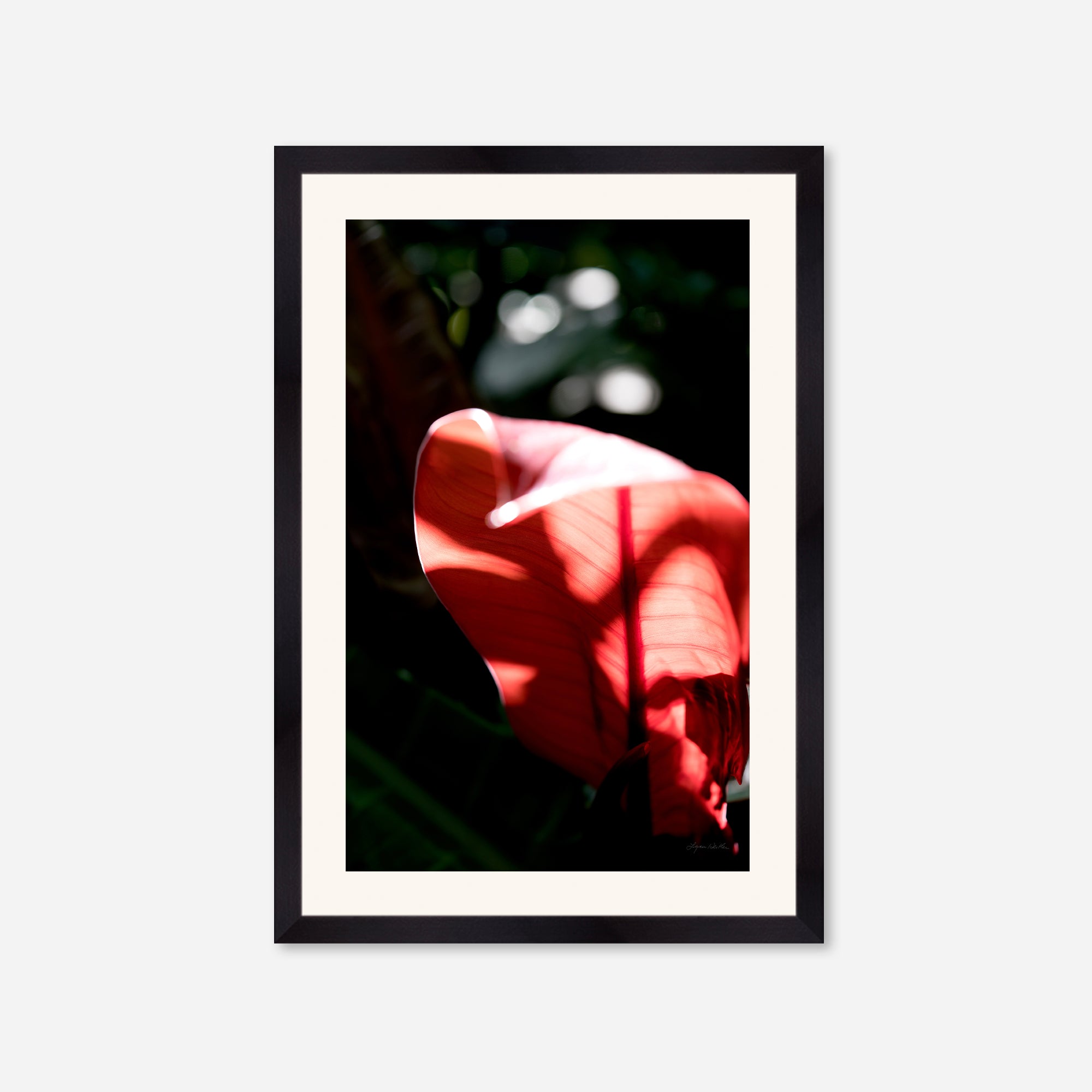 Macro no. 23