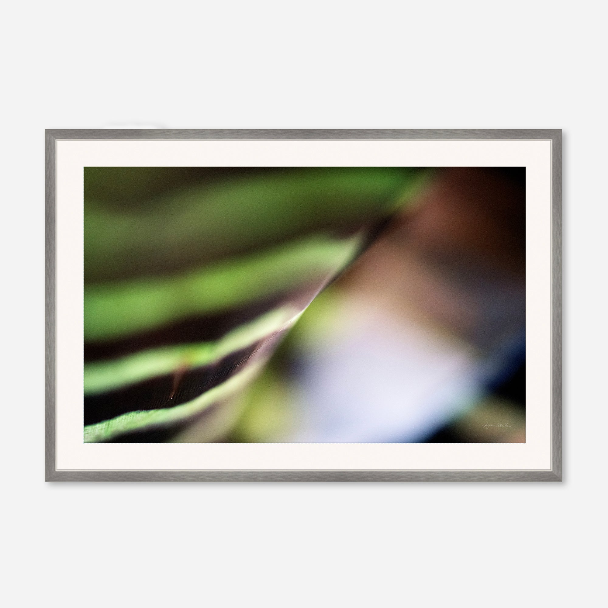Macro no. 22