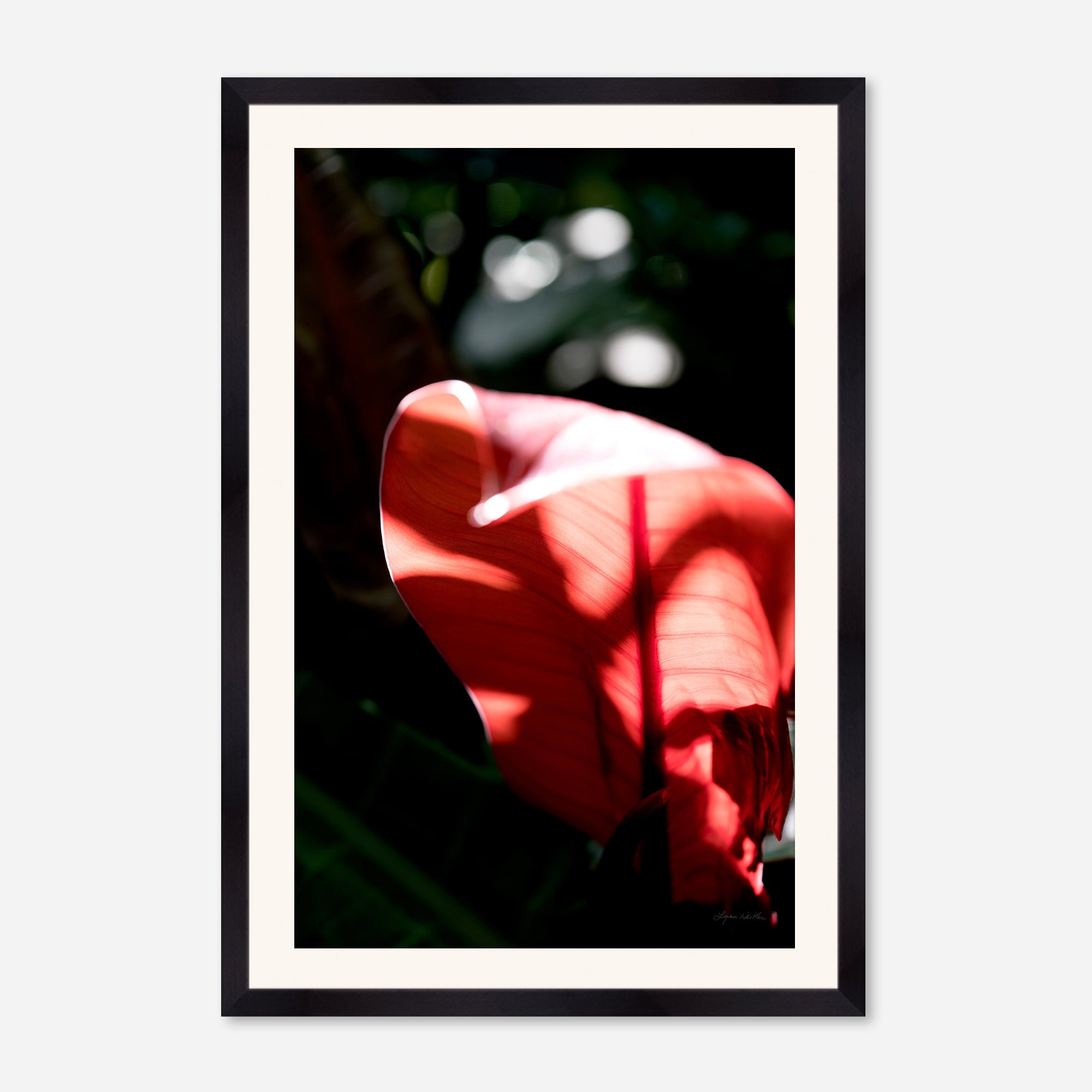 Macro no. 23