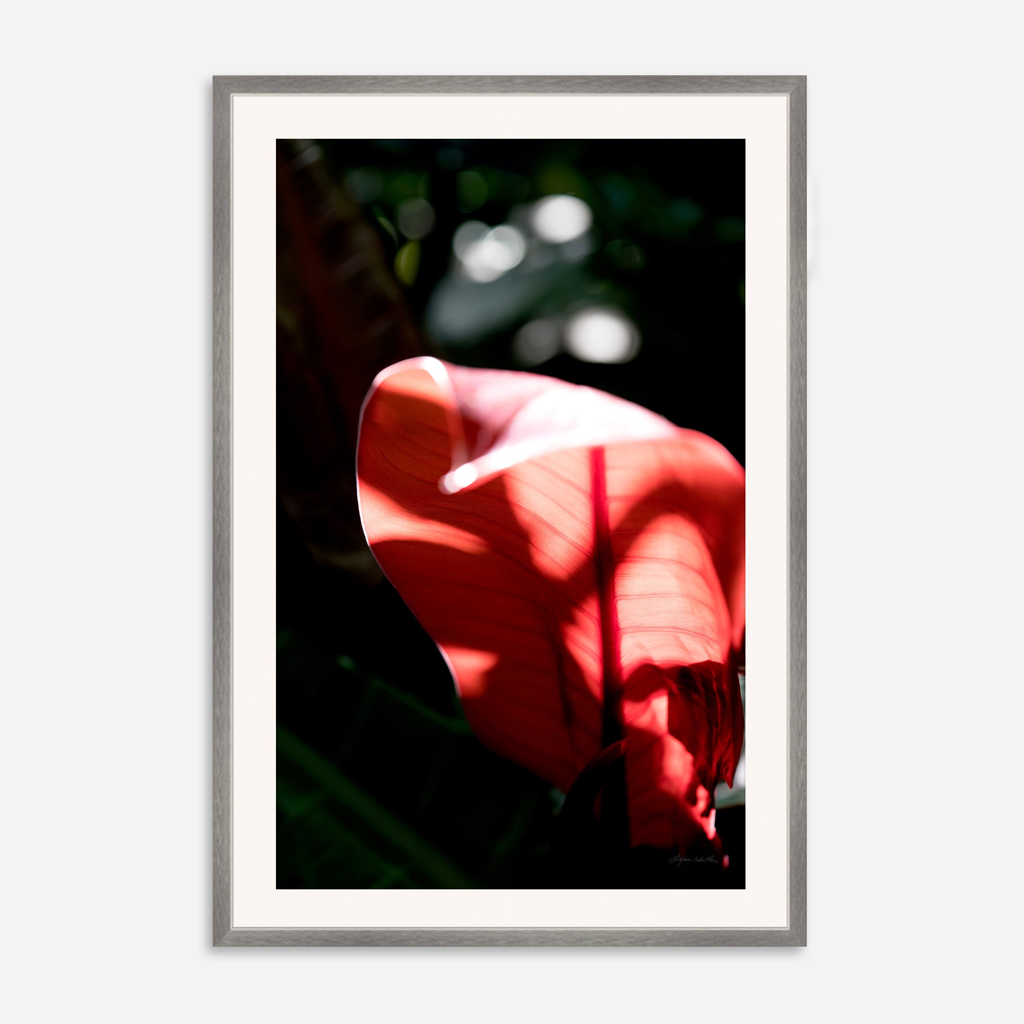 Macro no. 23