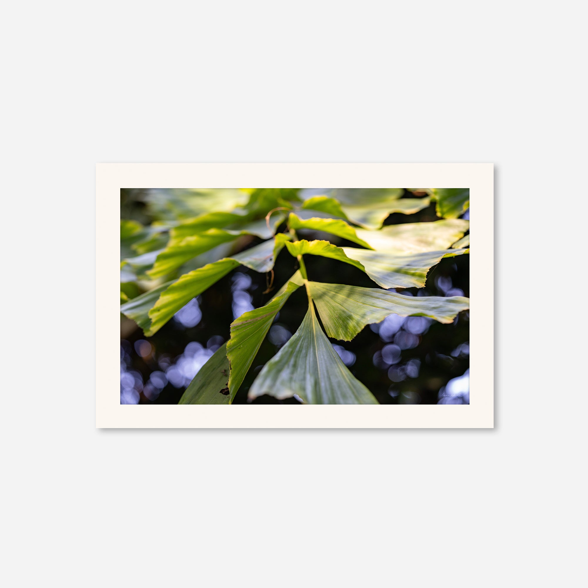 Macro no. 21