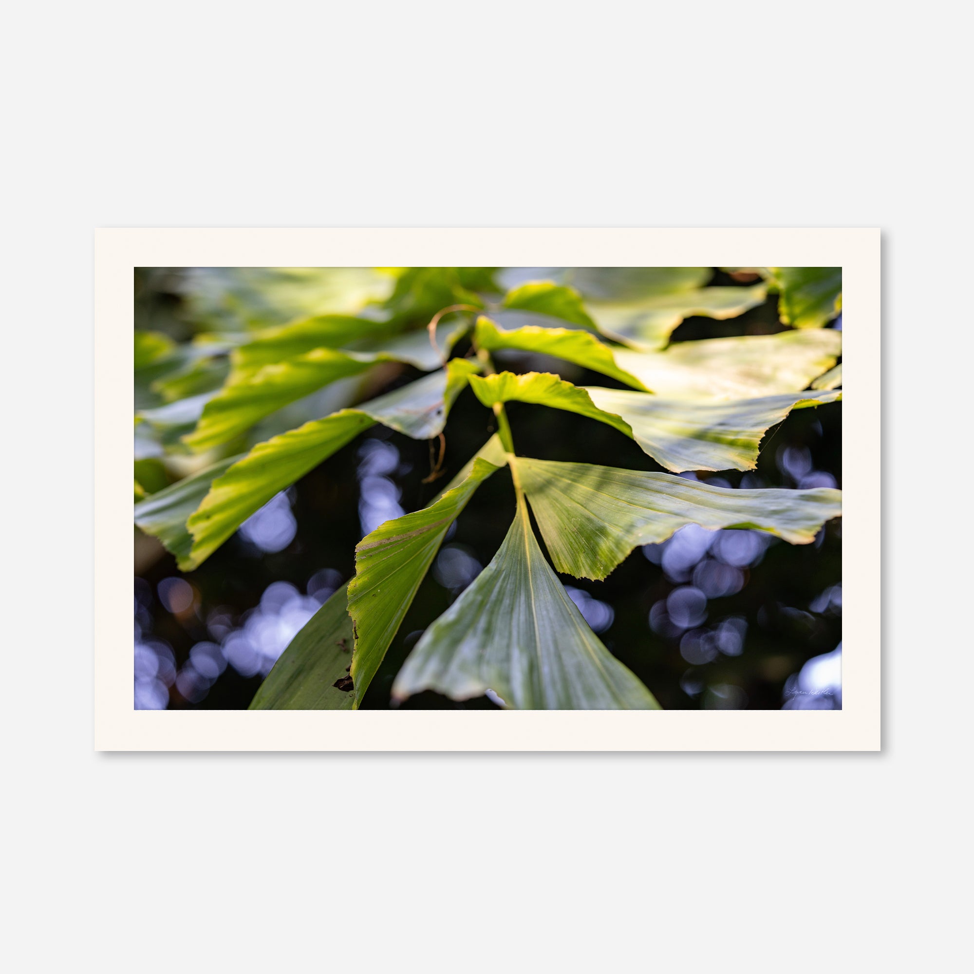 Macro no. 21