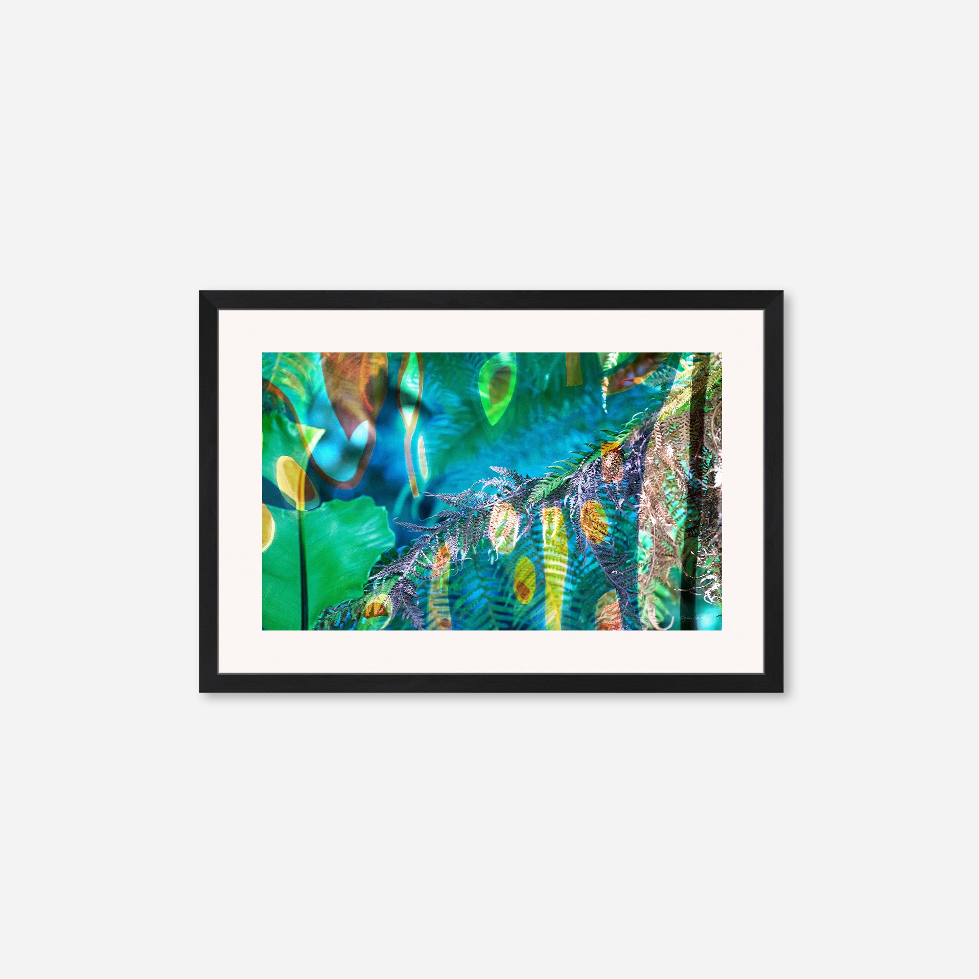 Peacock  no.1