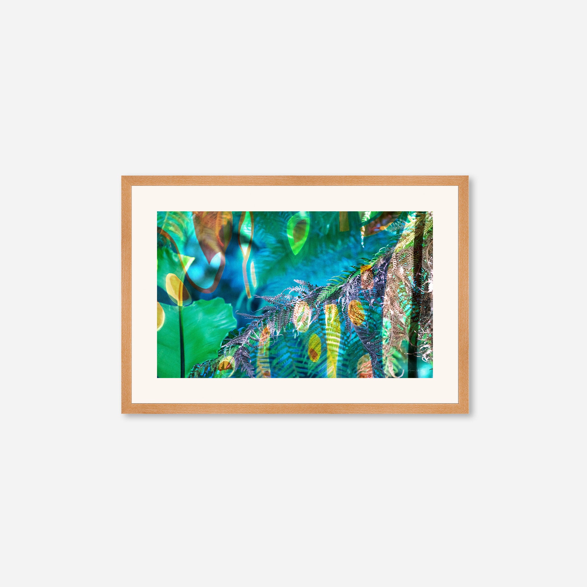 Peacock  no.1