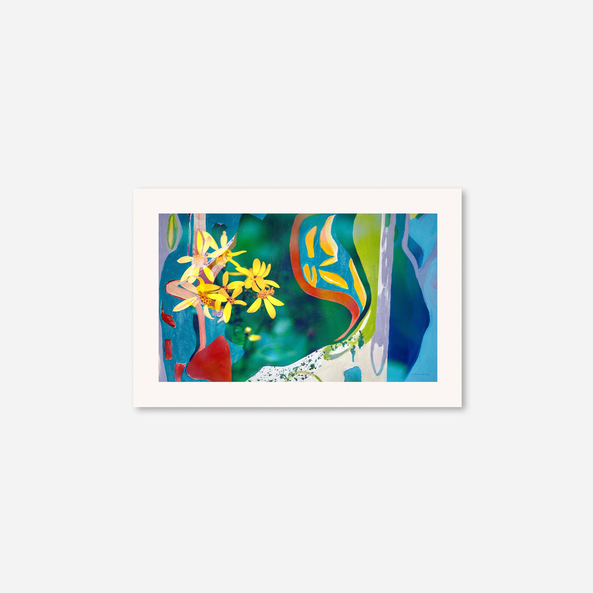 Peacock  no.3