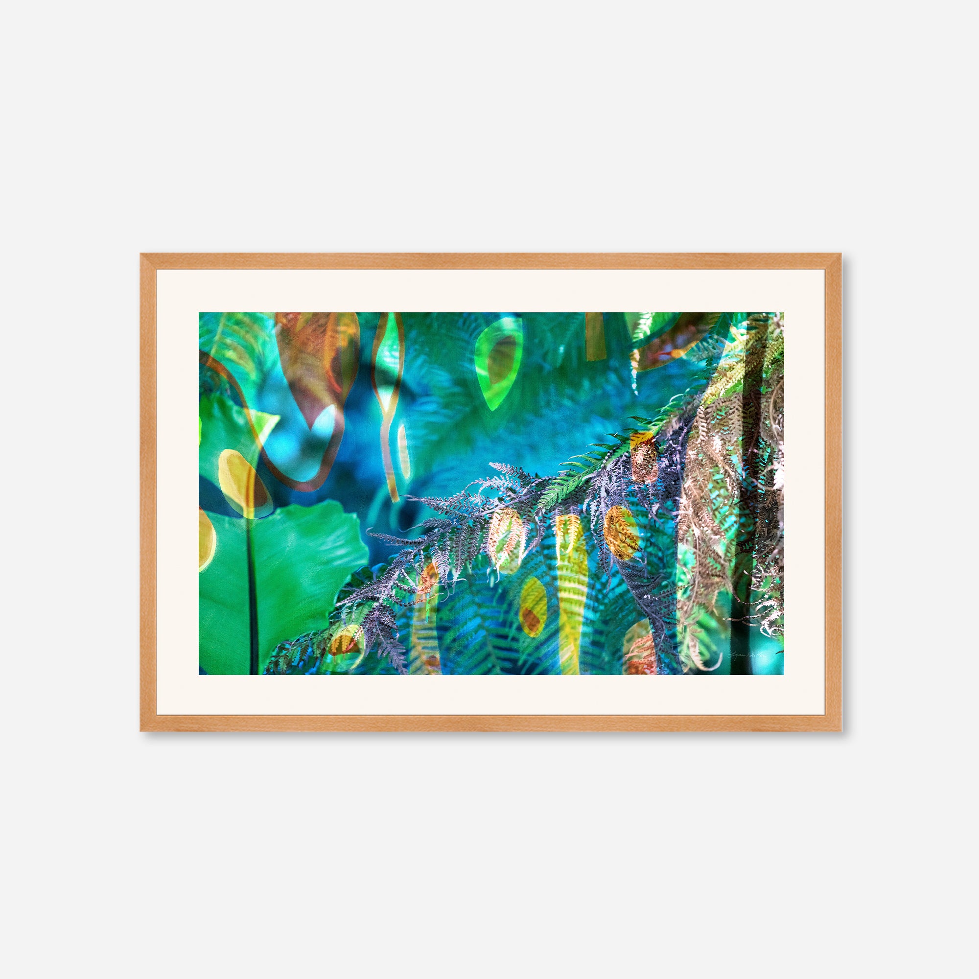 Peacock  no.1