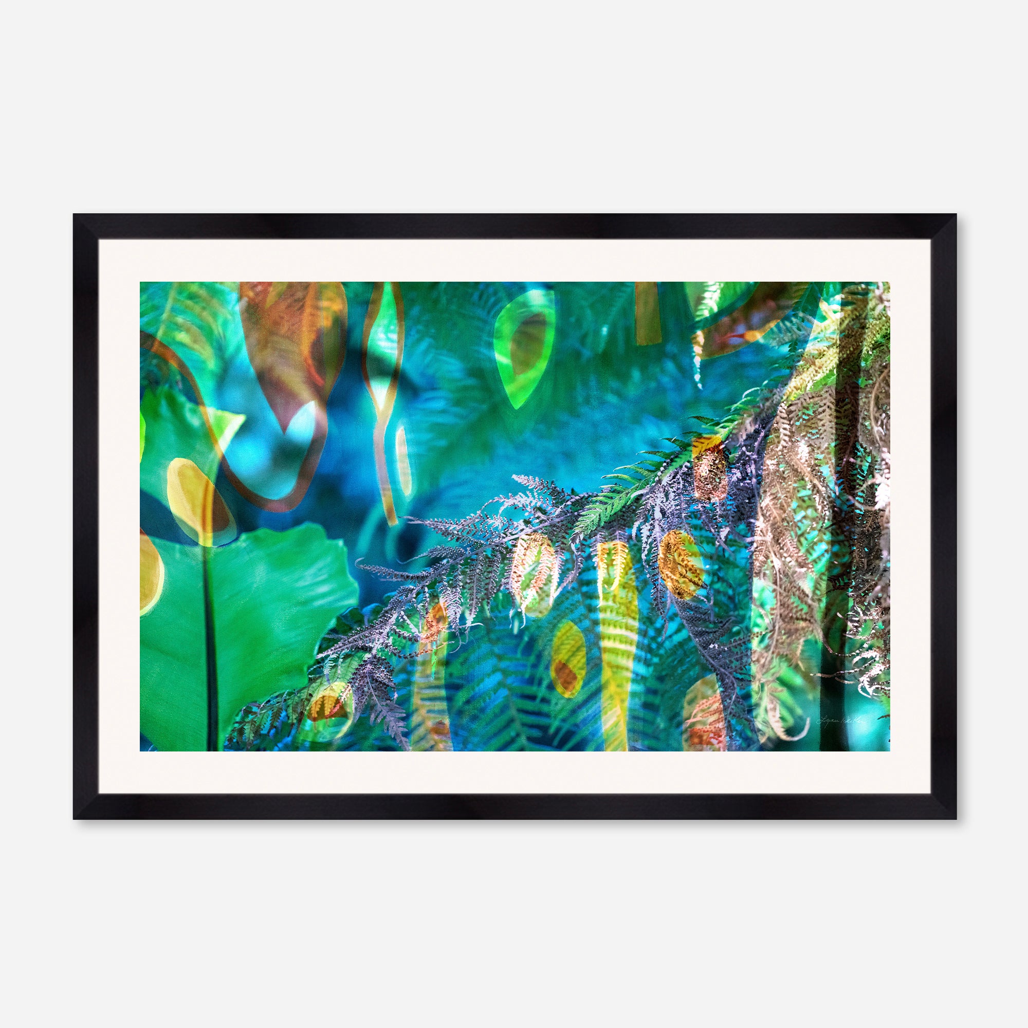 Peacock  no.1