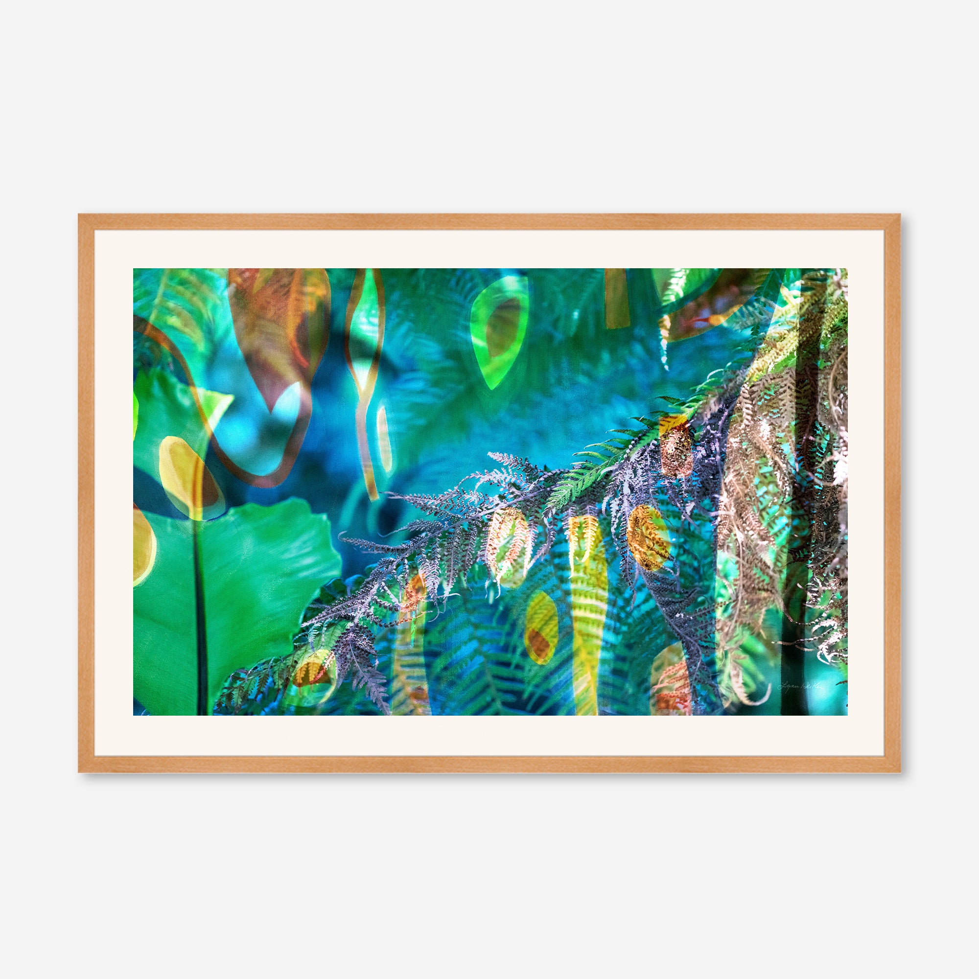Peacock  no.1
