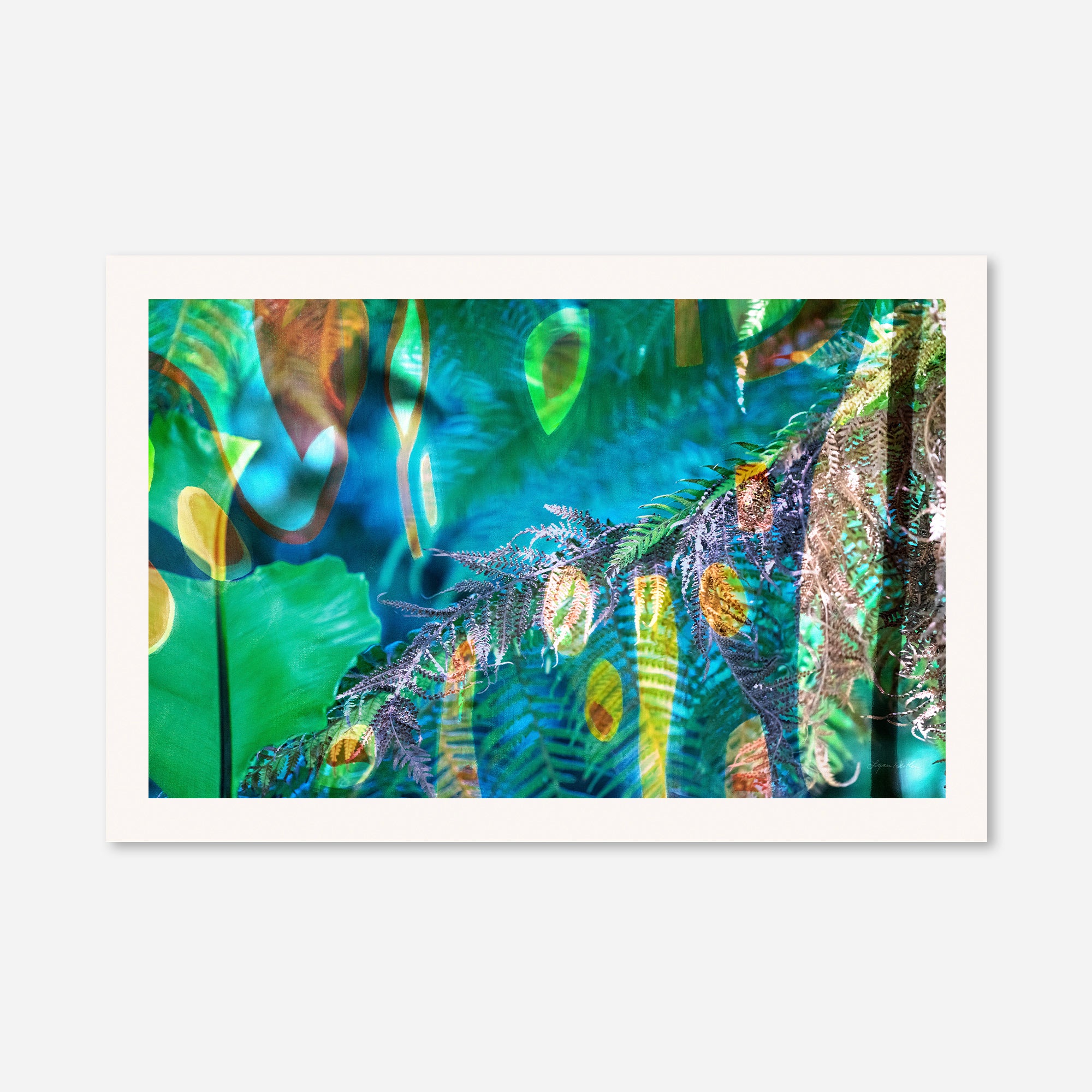 Peacock  no.1