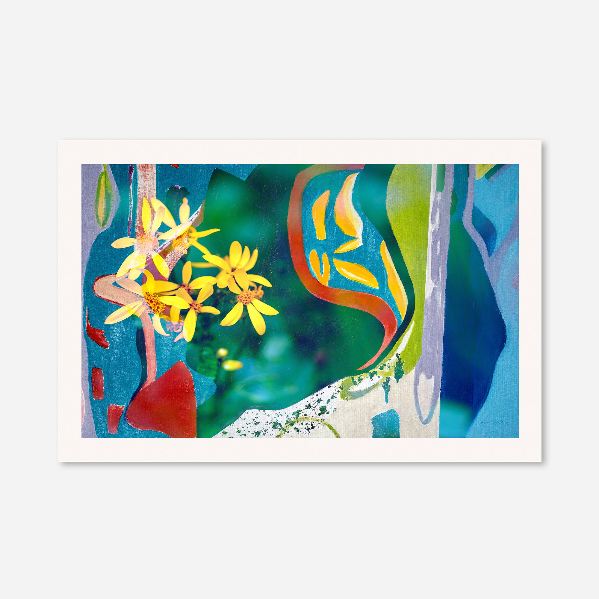 Peacock  no.3