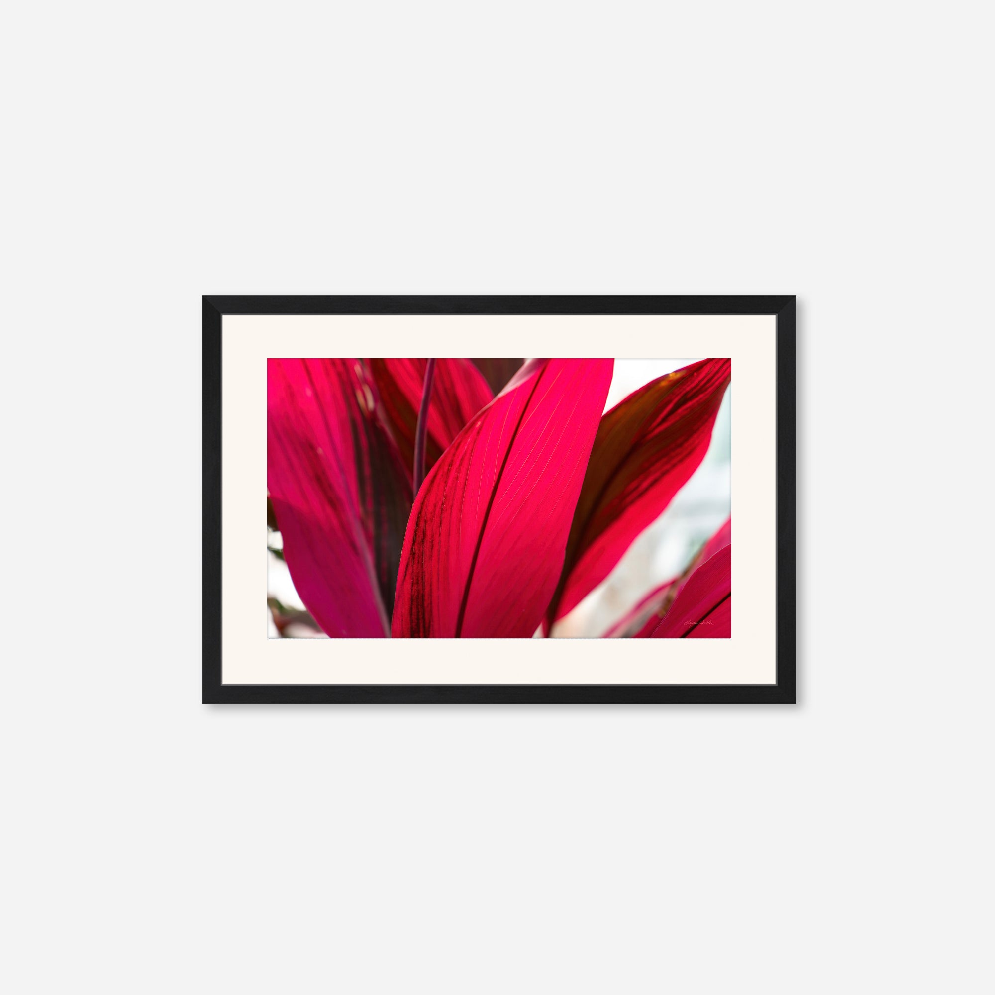 Red Leaves no. 4