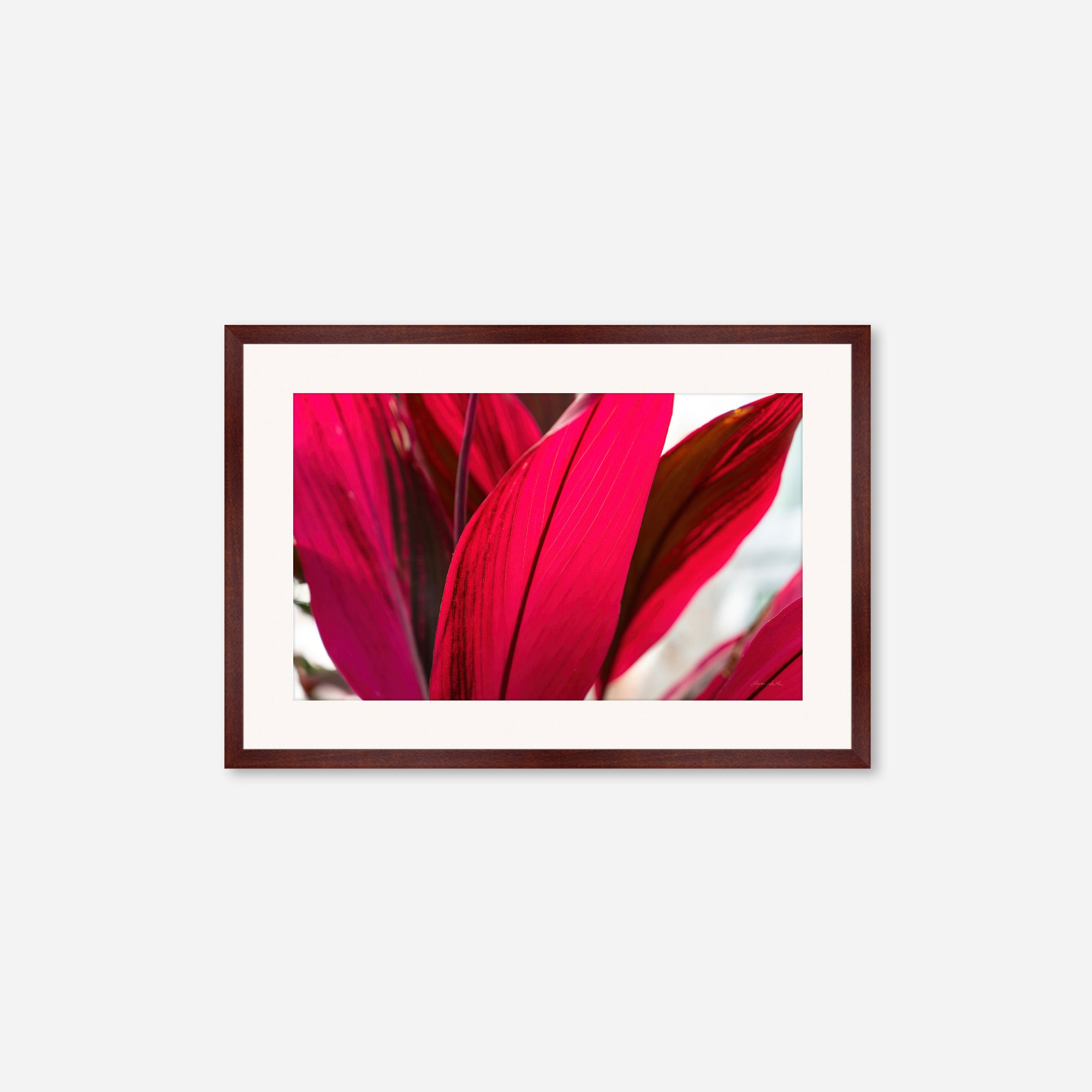 Red Leaves no. 4