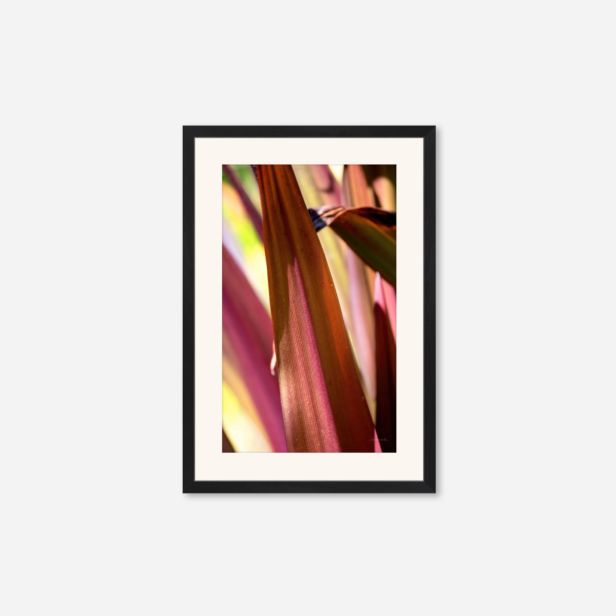 Red Leaves no. 5