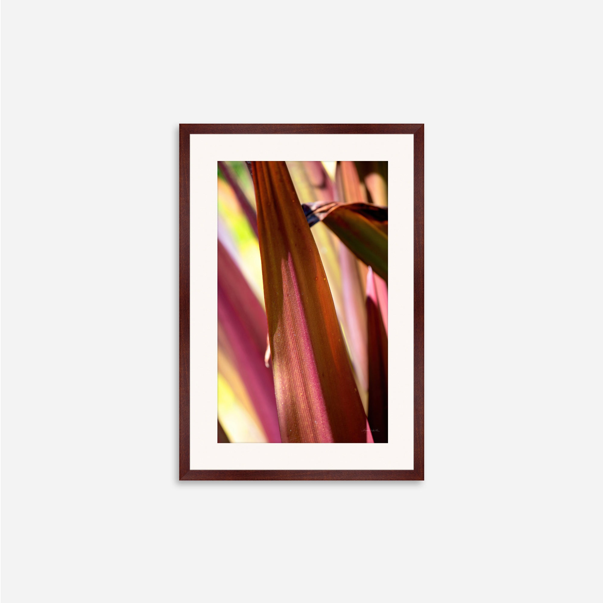 Red Leaves no. 5