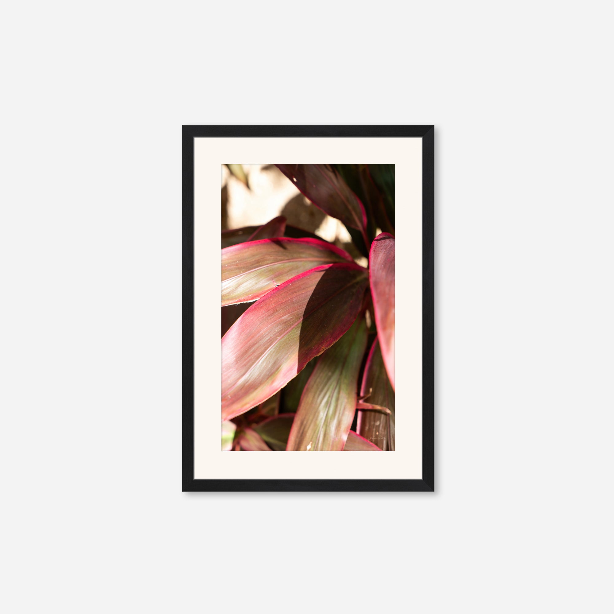 Red Leaves no. 3