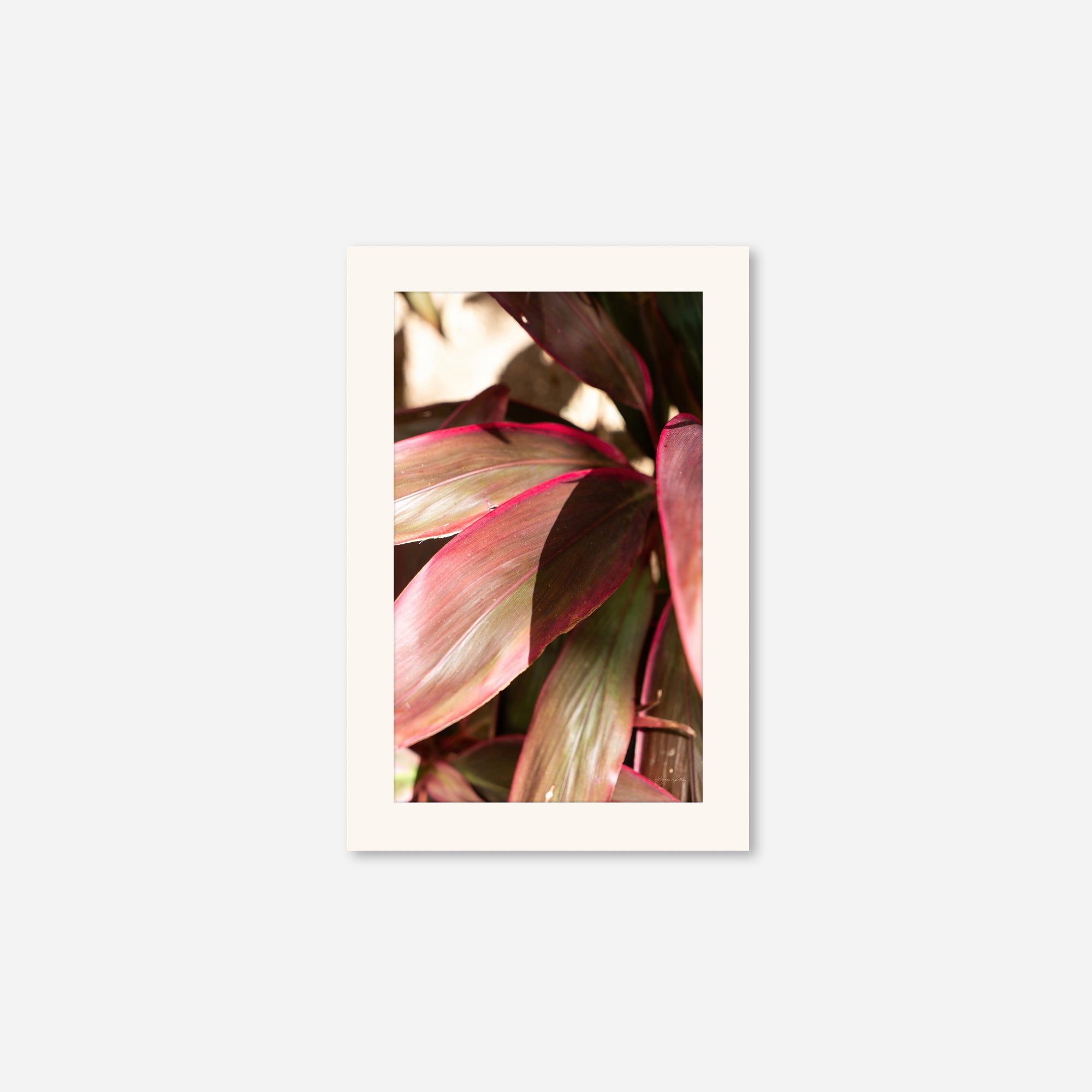 Red Leaves no. 3