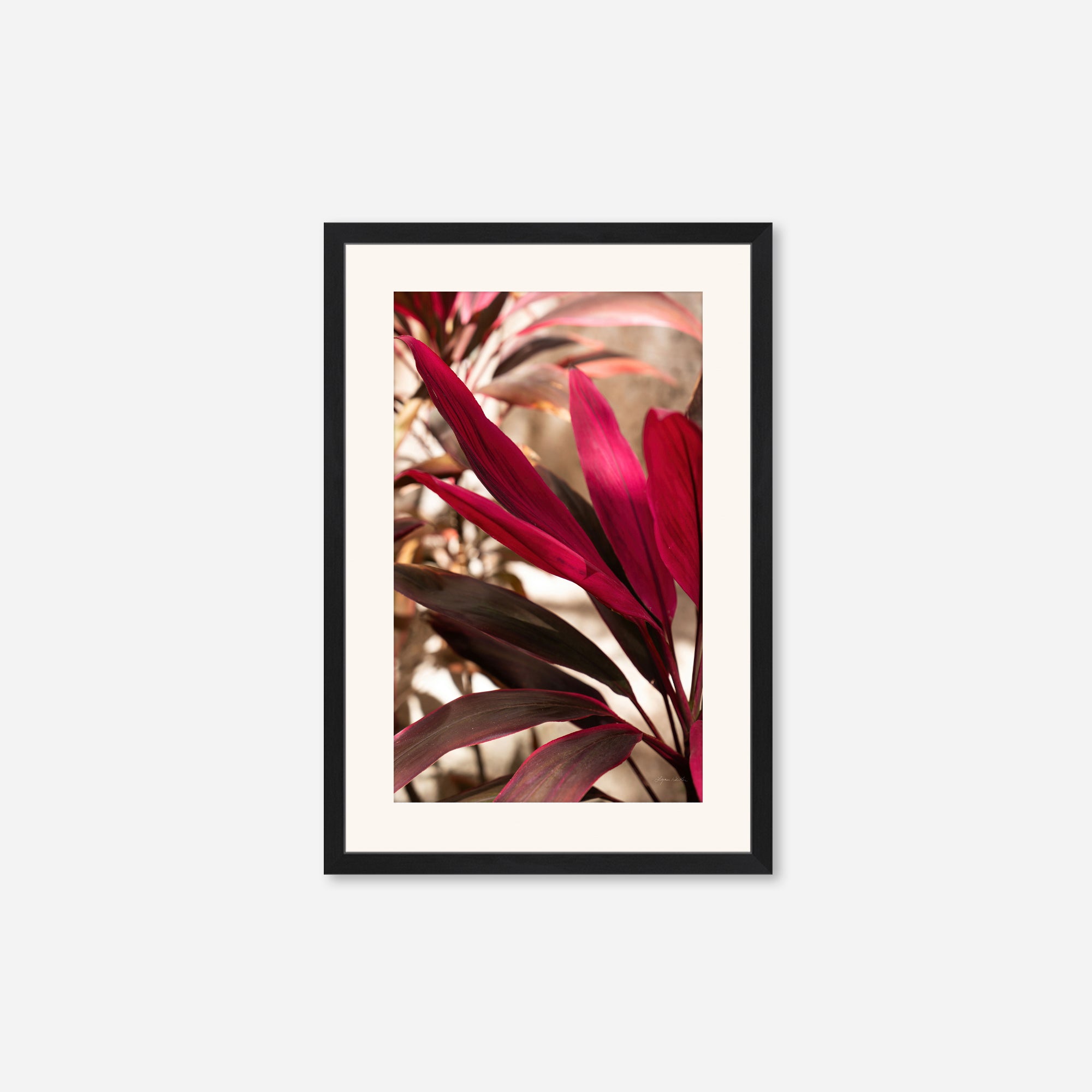 Red Leaves no. 2