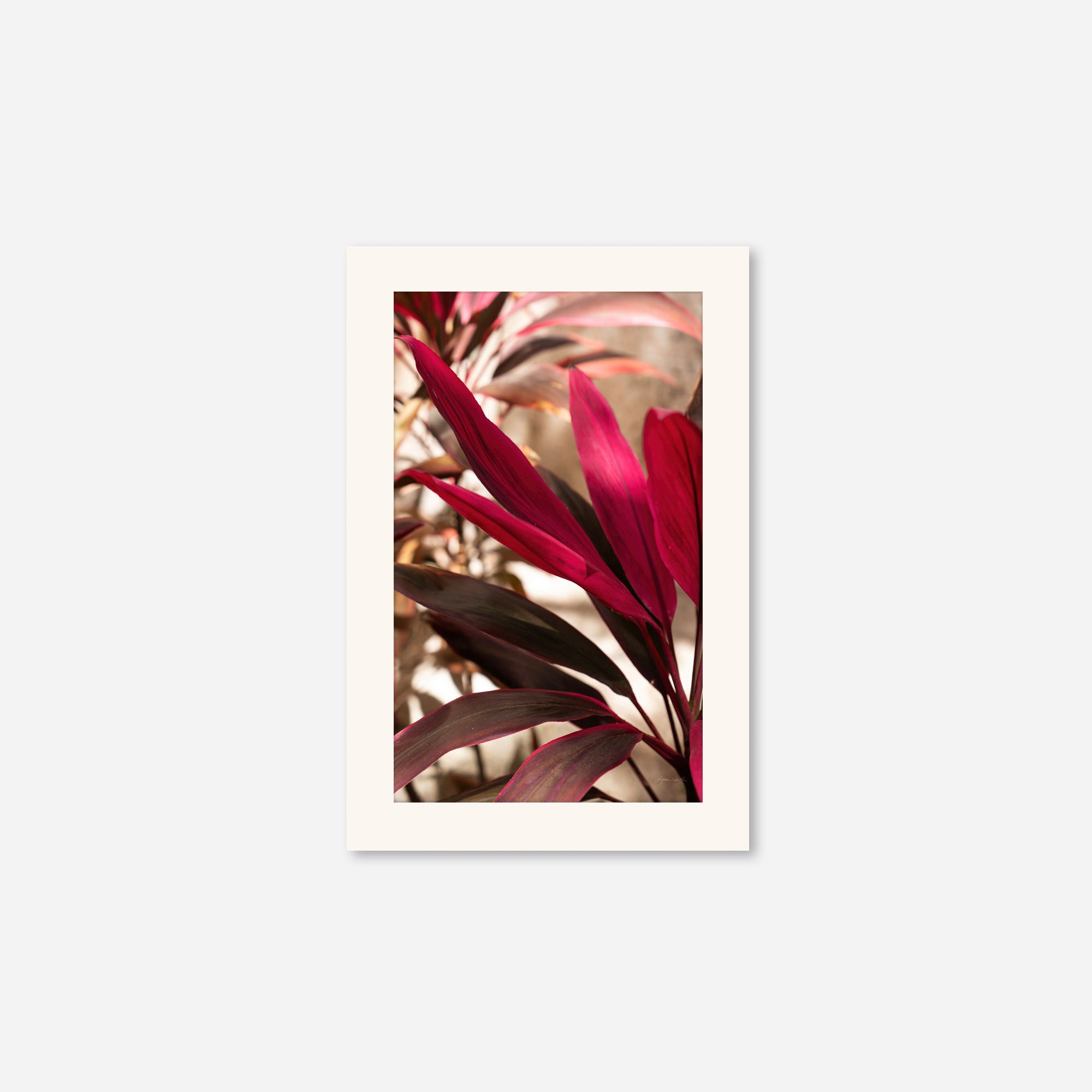 Red Leaves no. 2