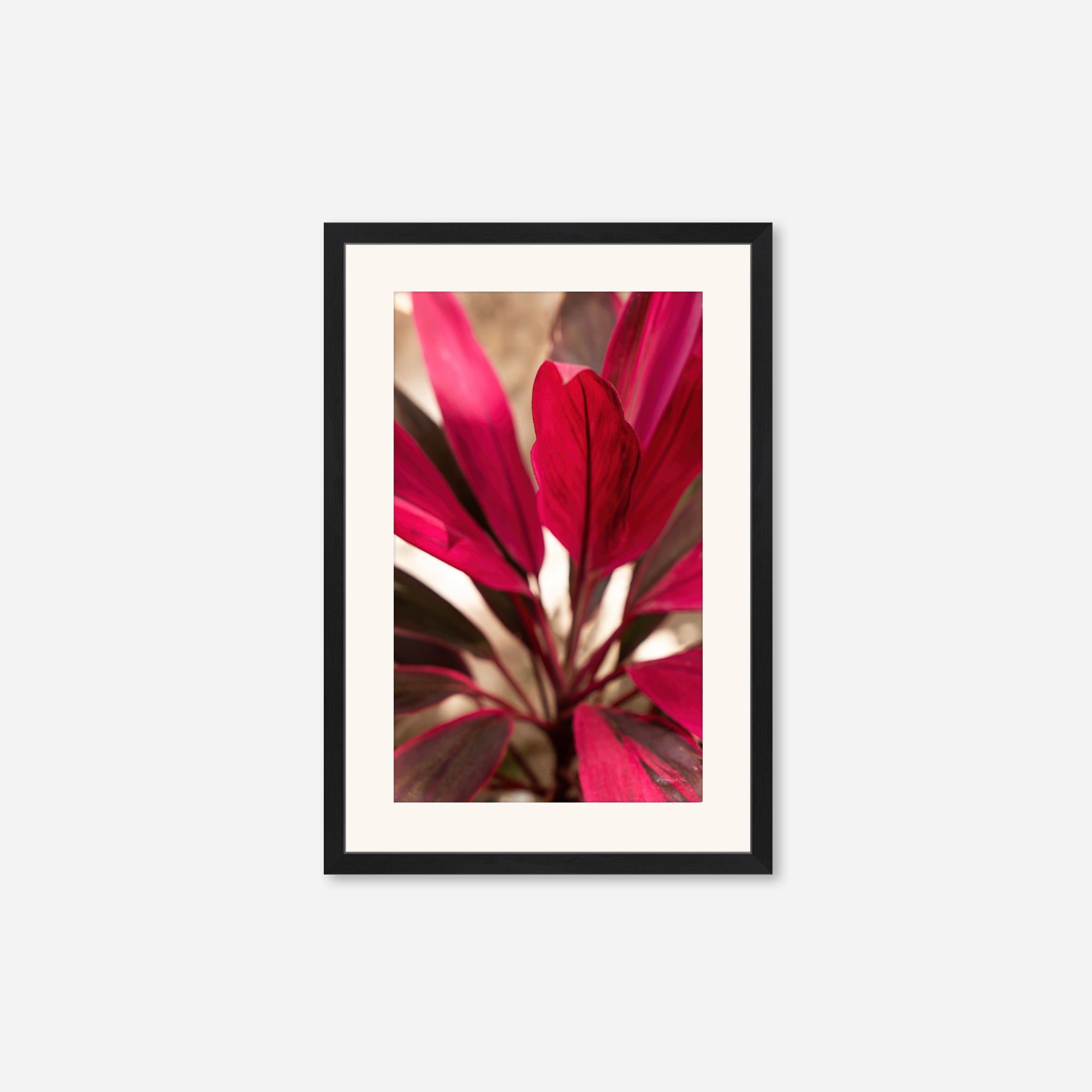 Red Leaves no. 1