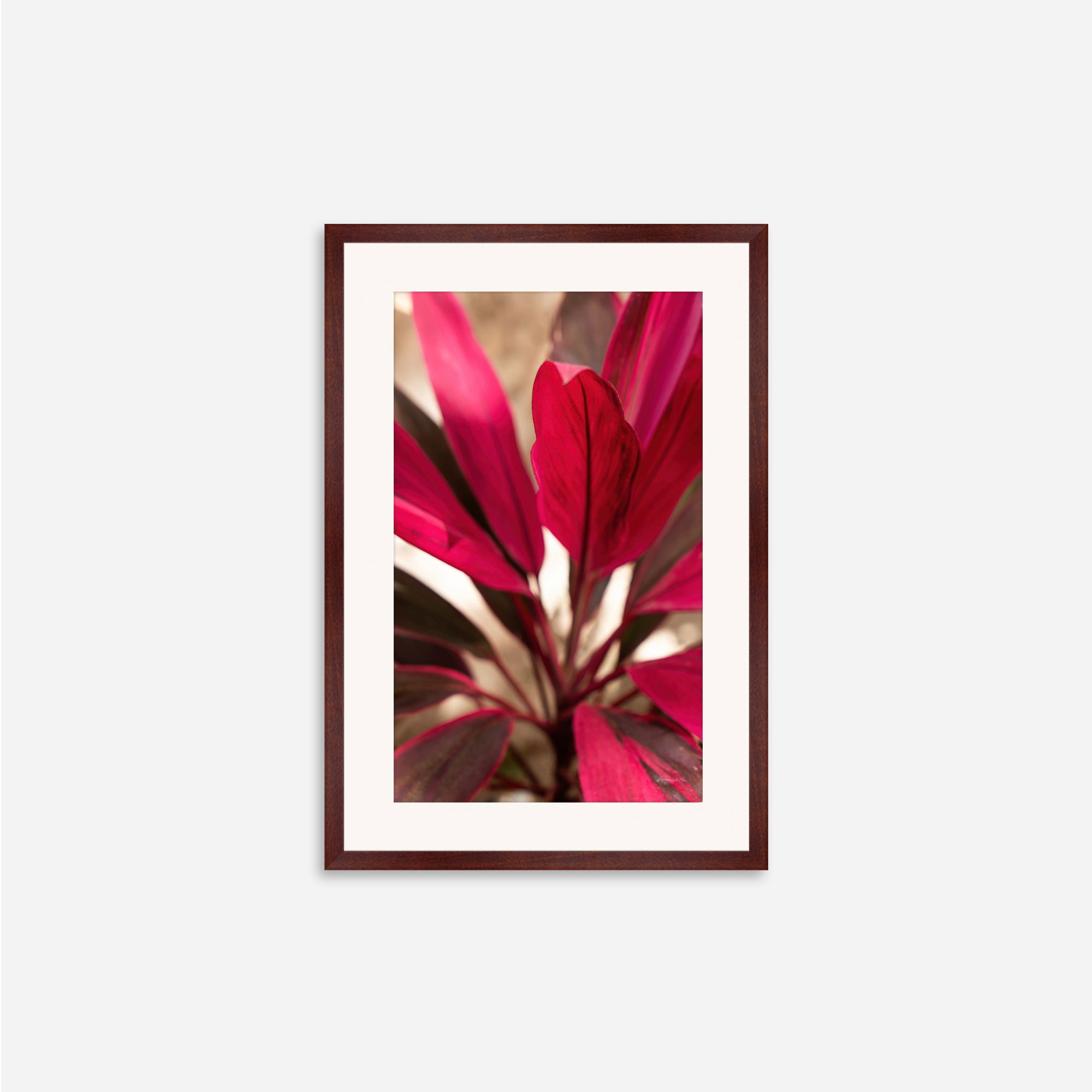 Red Leaves no. 1