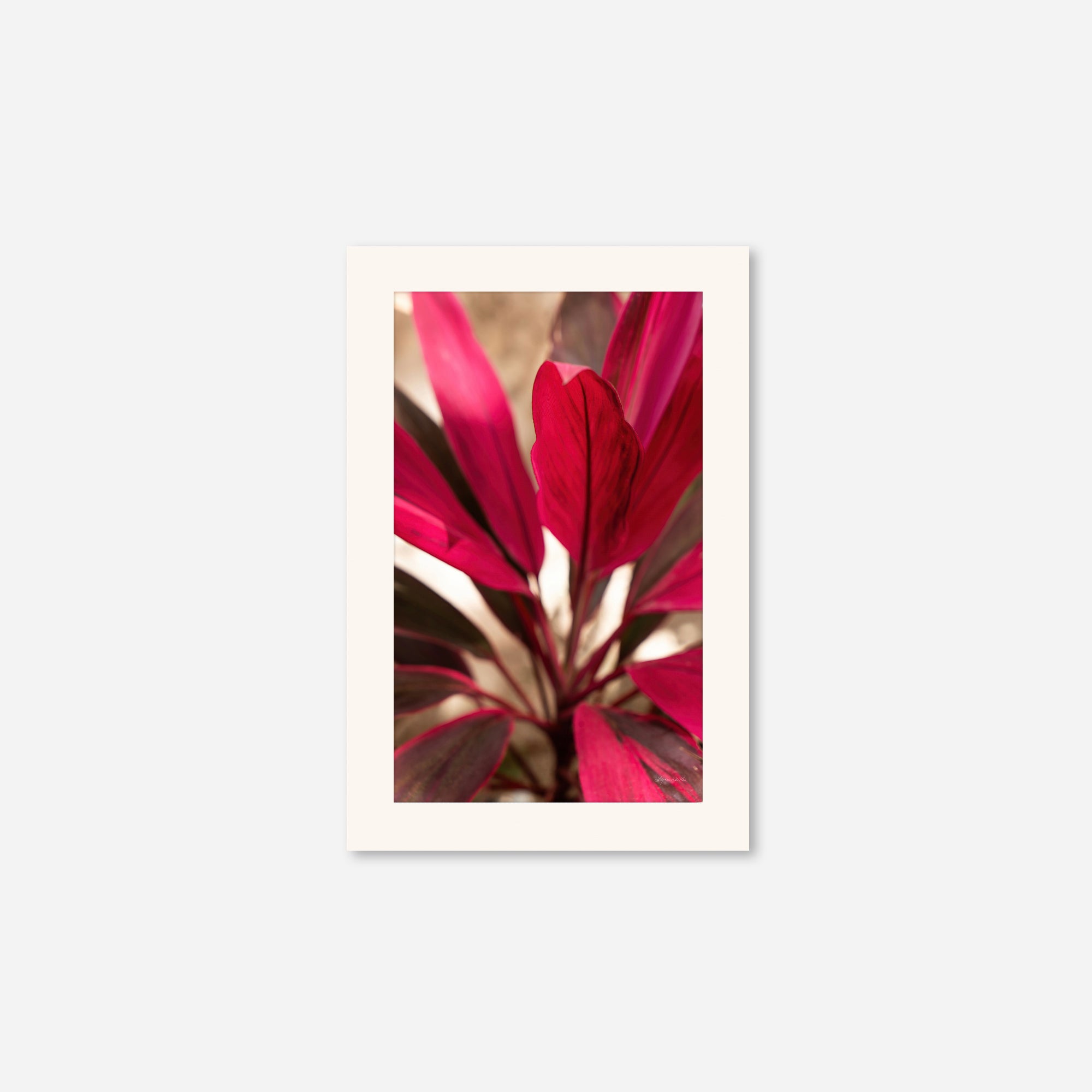 Red Leaves no. 1