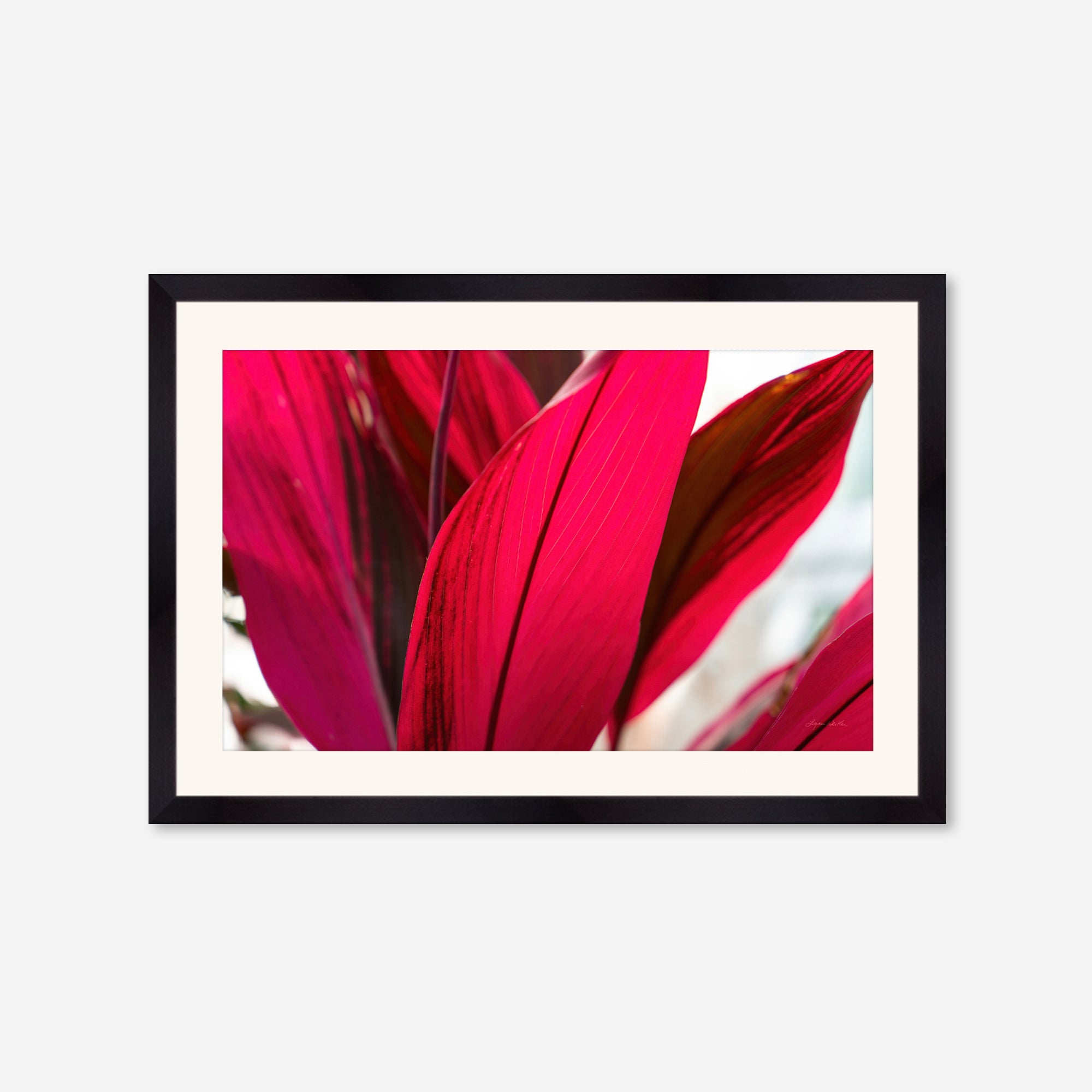 Red Leaves no. 4