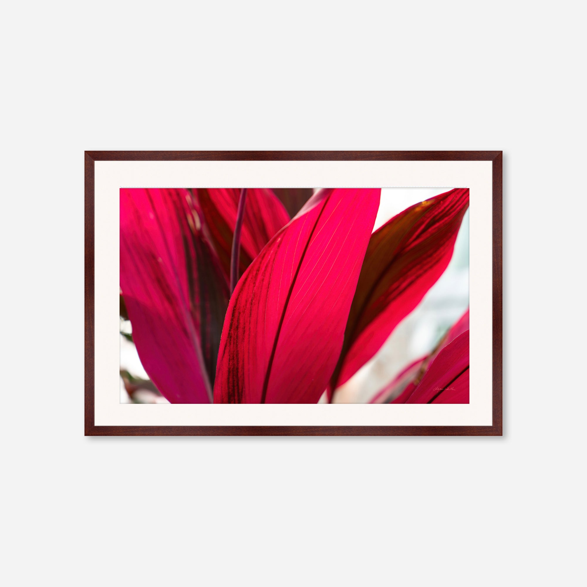 Red Leaves no. 4