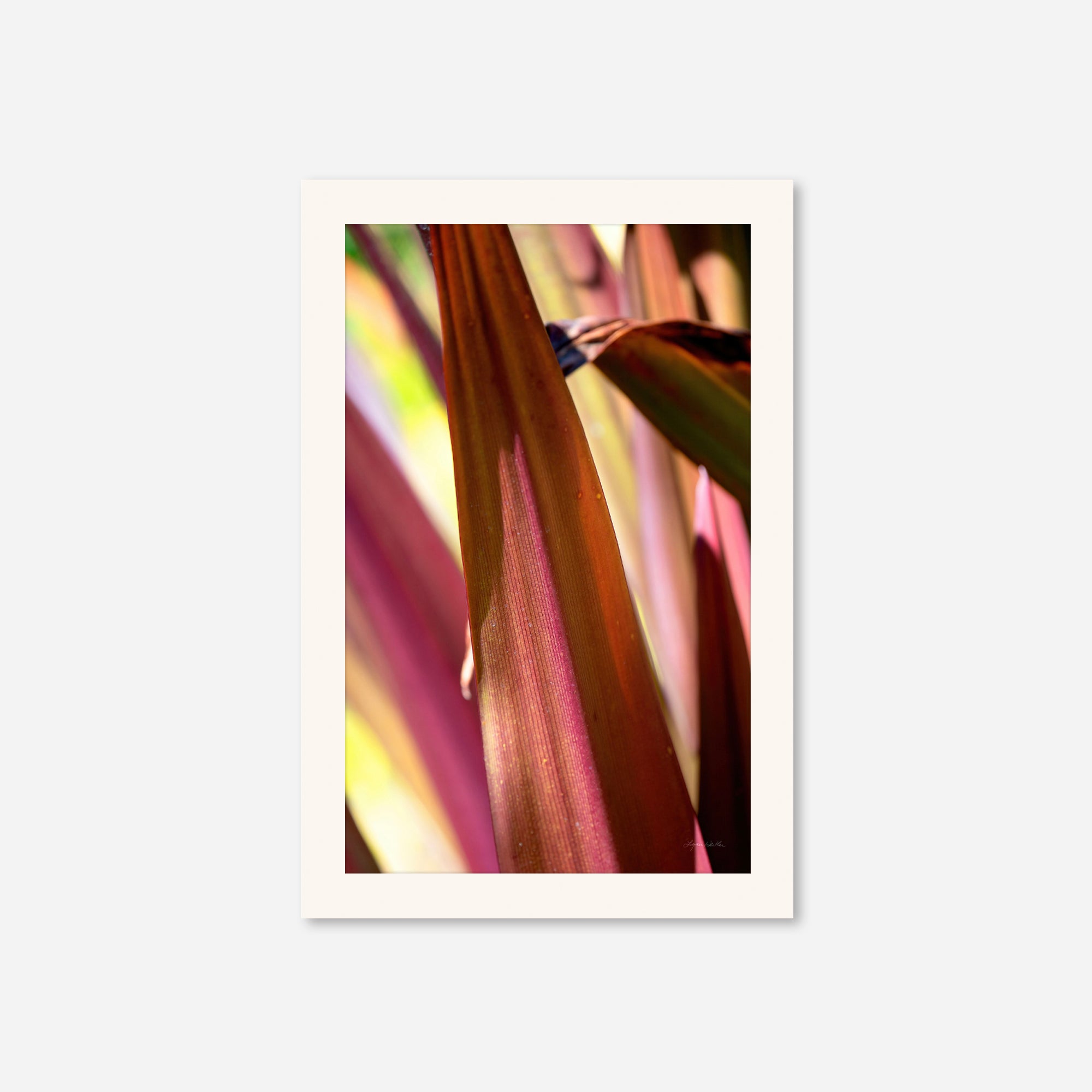 Red Leaves no. 5