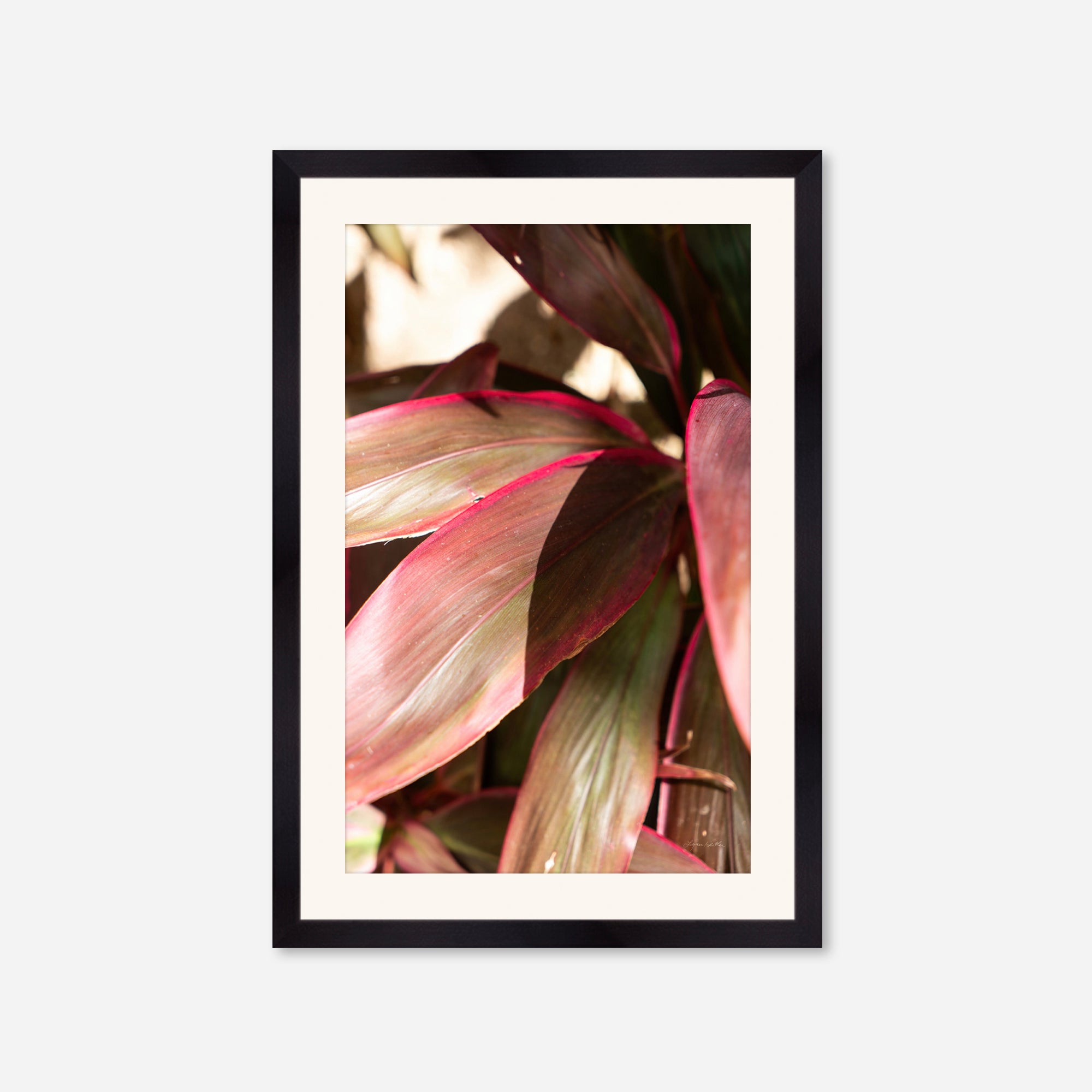 Red Leaves no. 3
