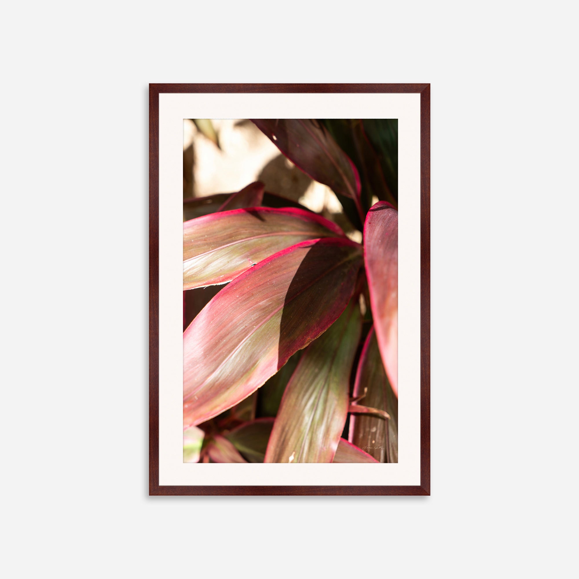 Red Leaves no. 3