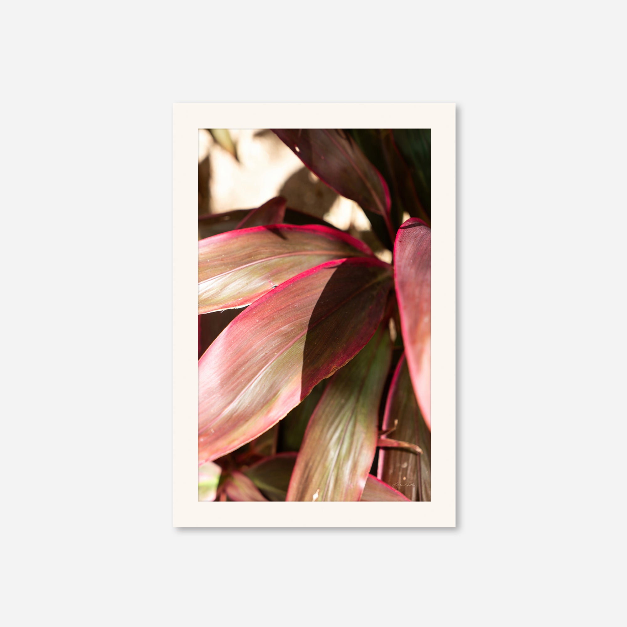 Red Leaves no. 3