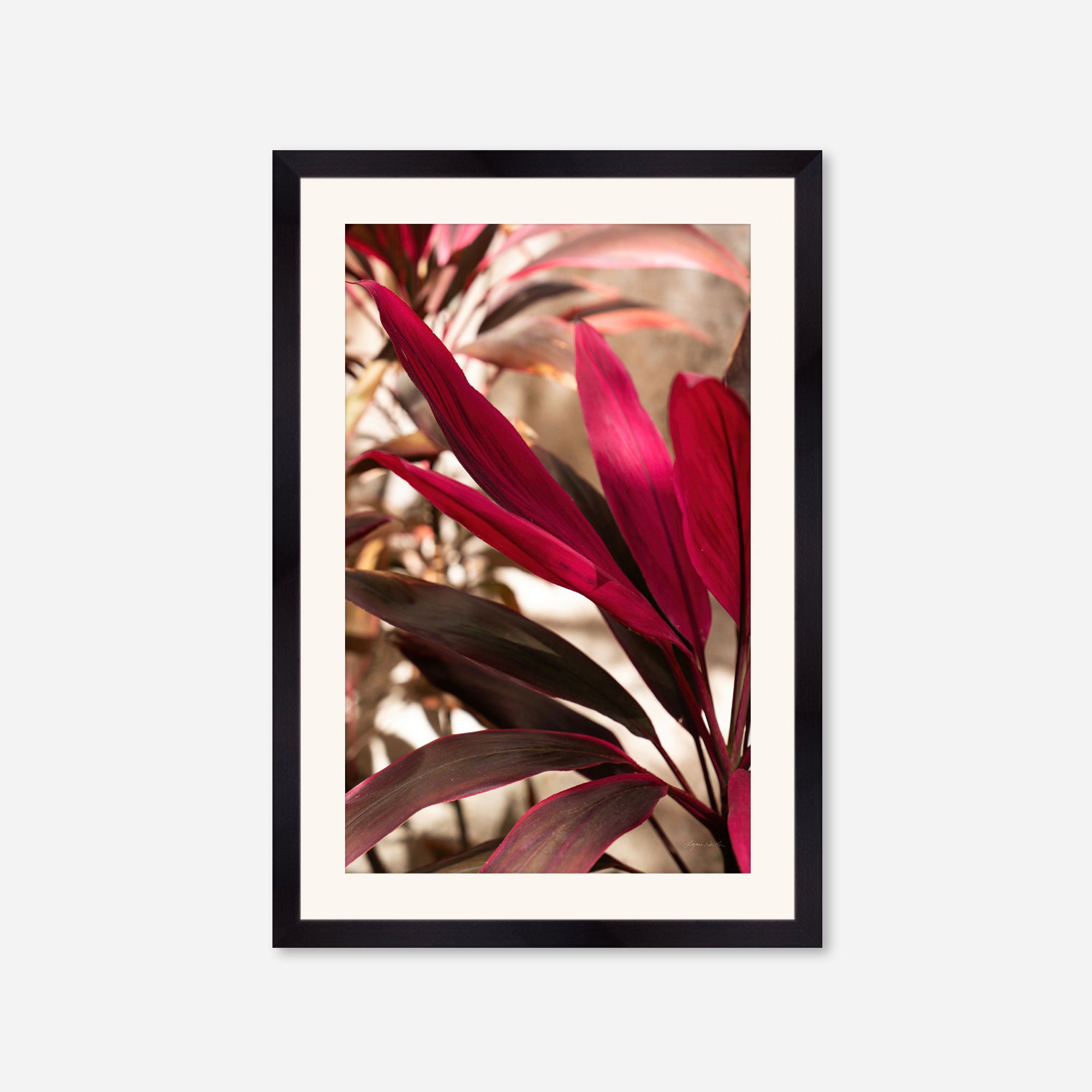Red Leaves no. 2