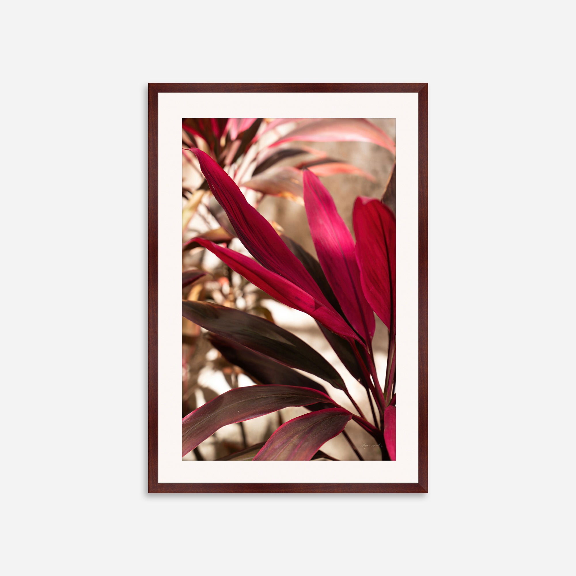 Red Leaves no. 2