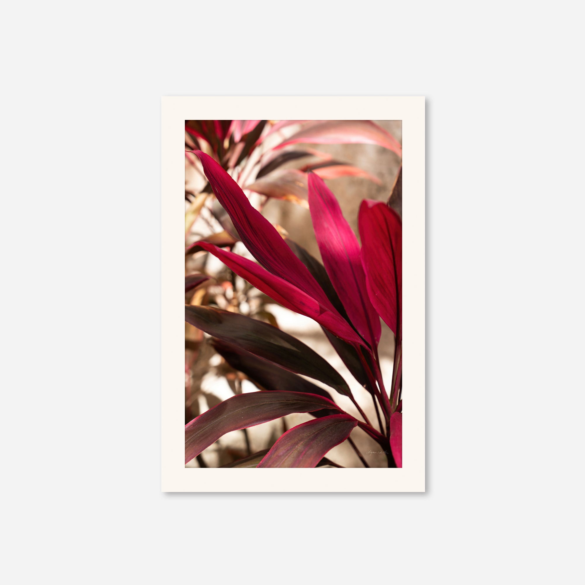 Red Leaves no. 2