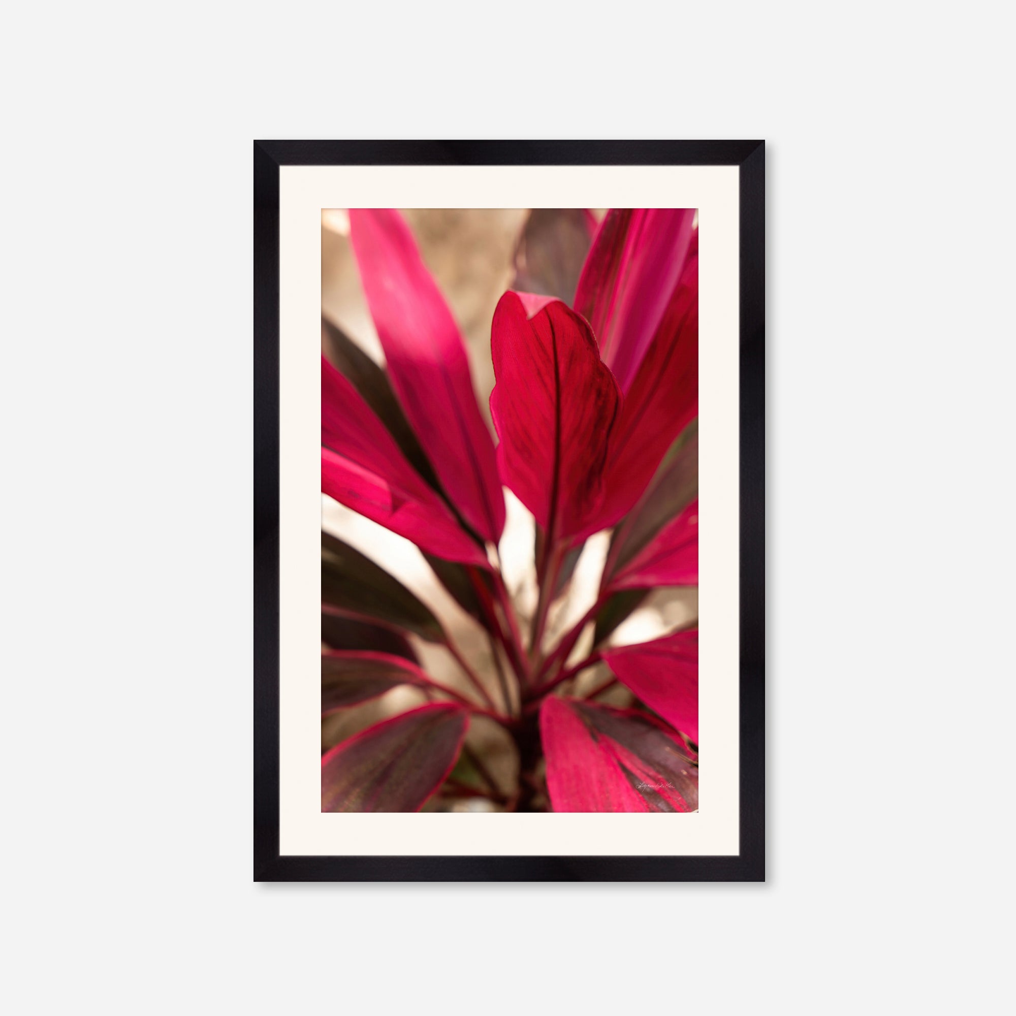 Red Leaves no. 1