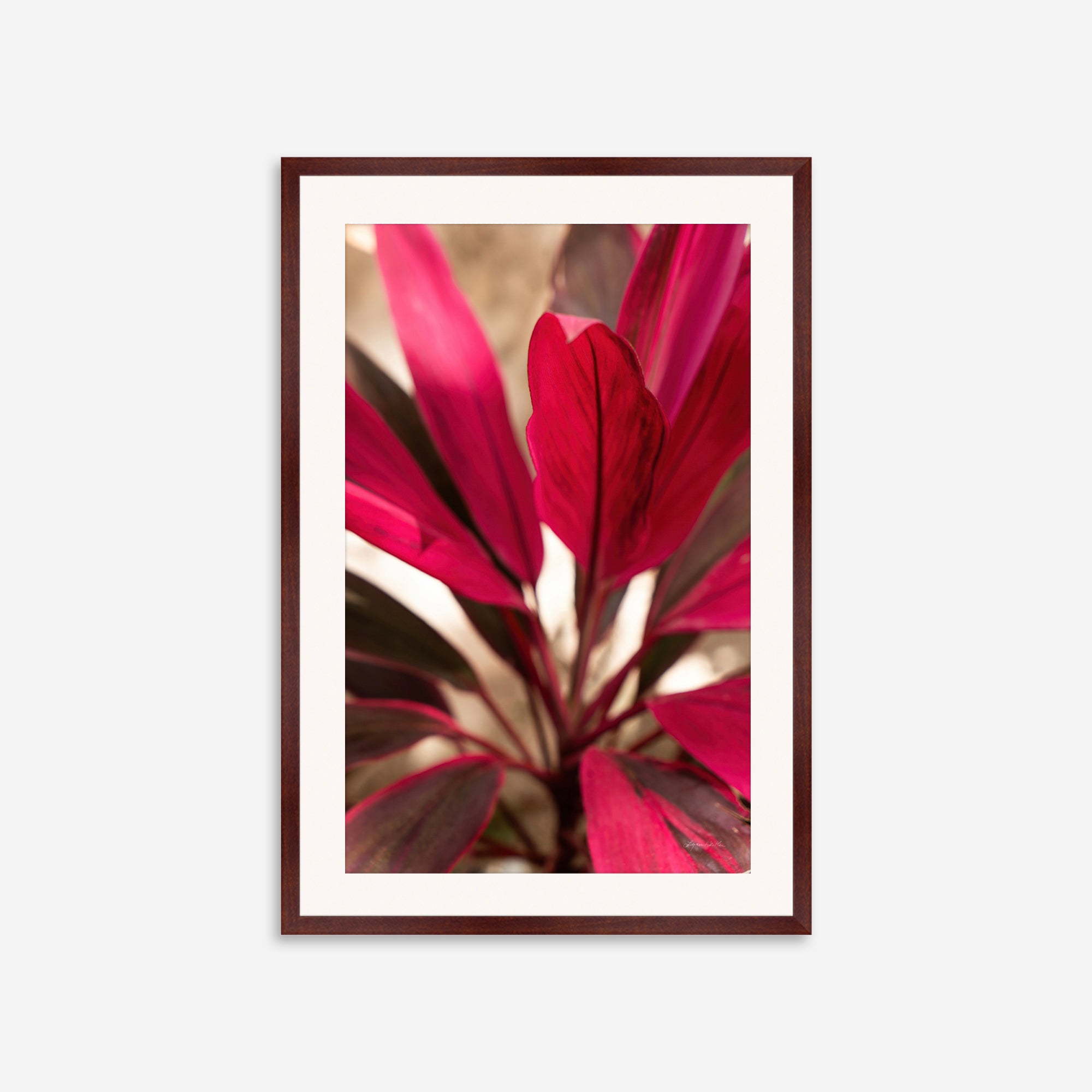 Red Leaves no. 1