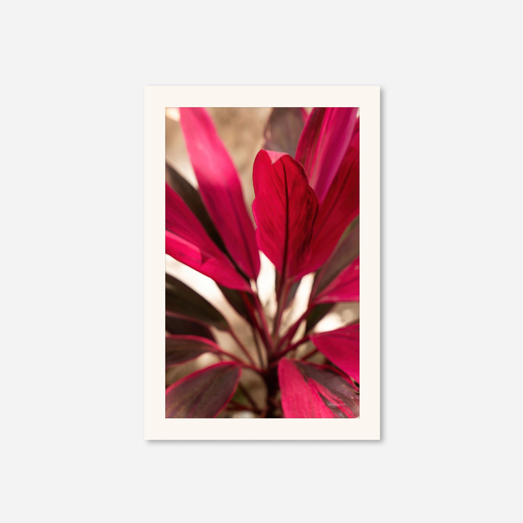 Red Leaves no. 1