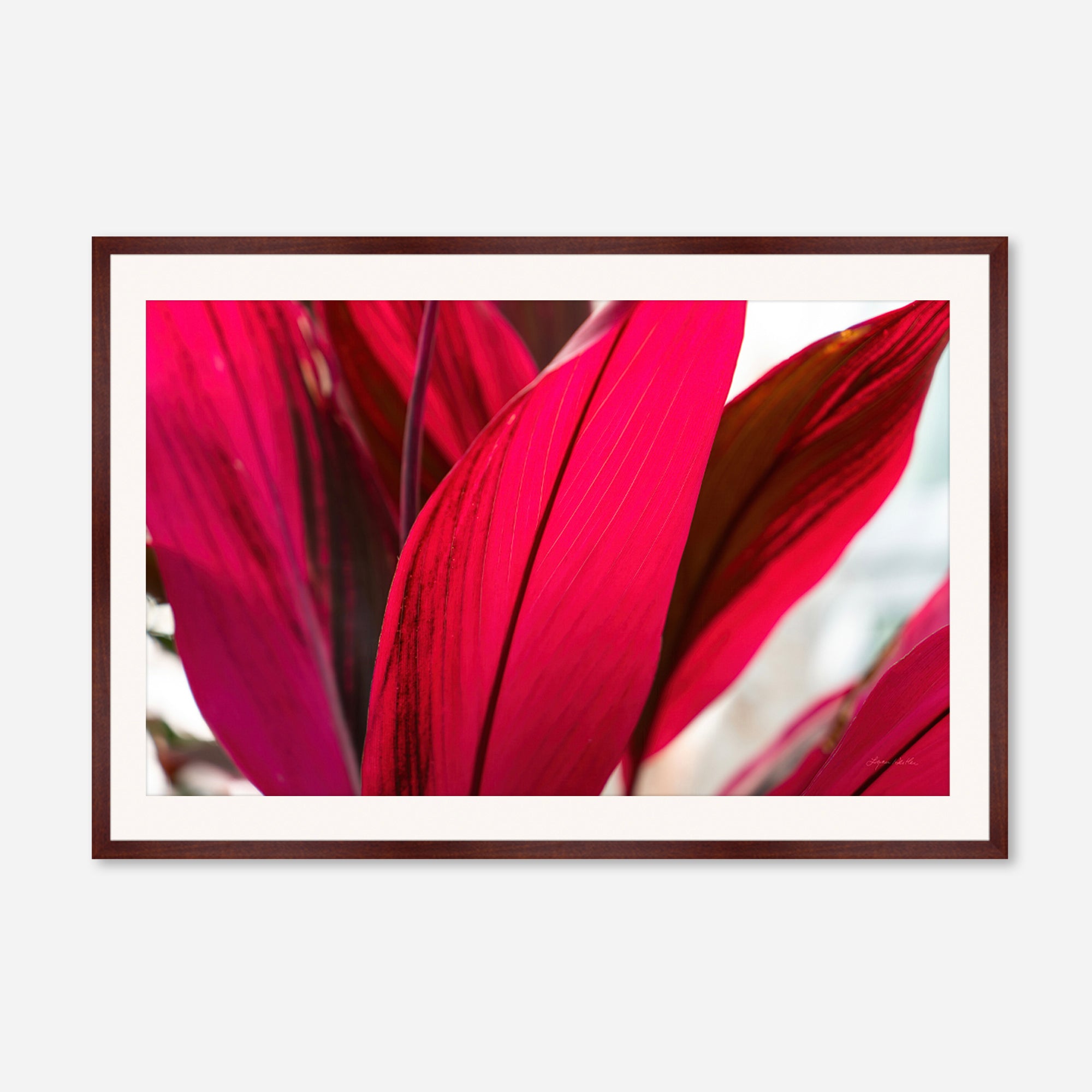 Red Leaves no. 4