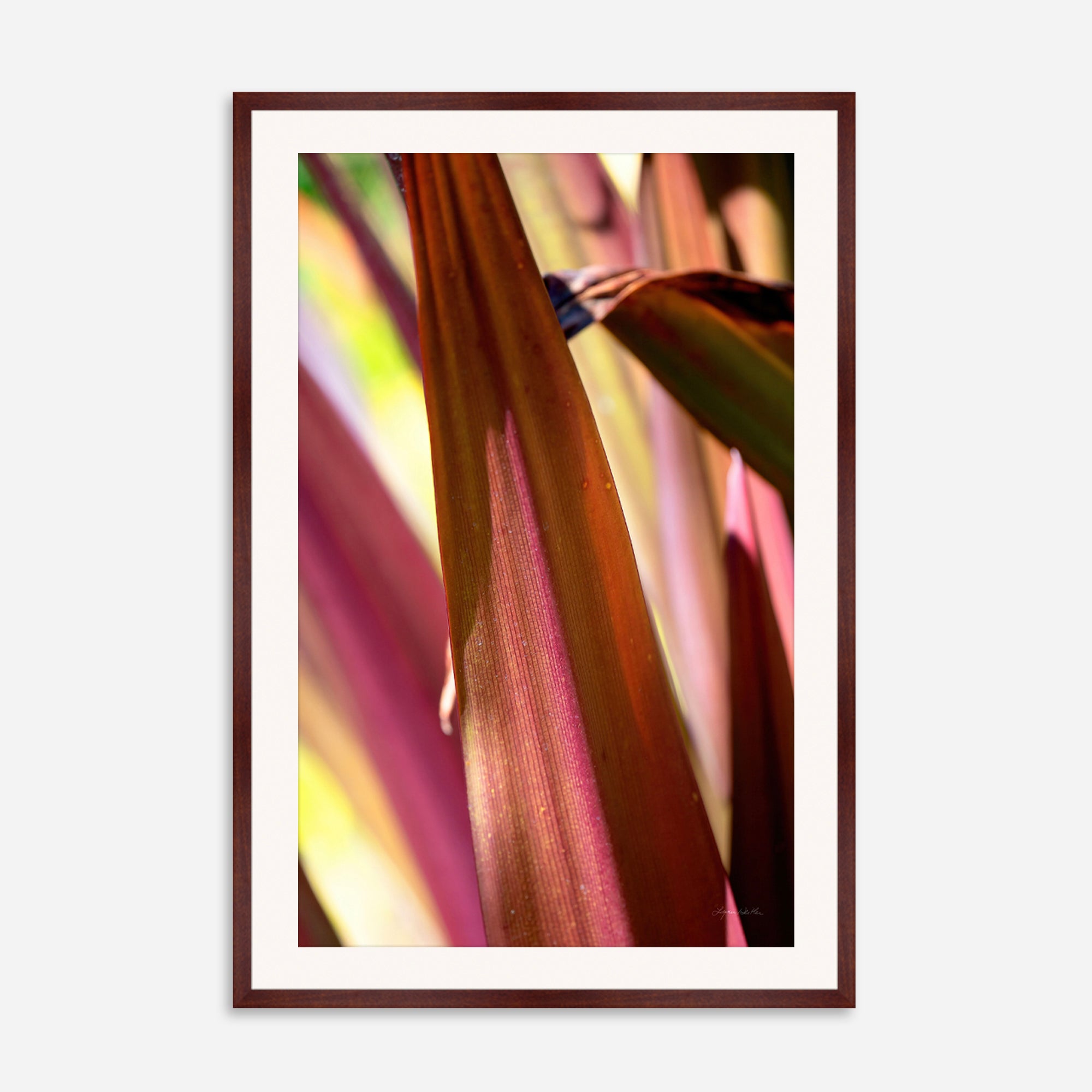 Red Leaves no. 5