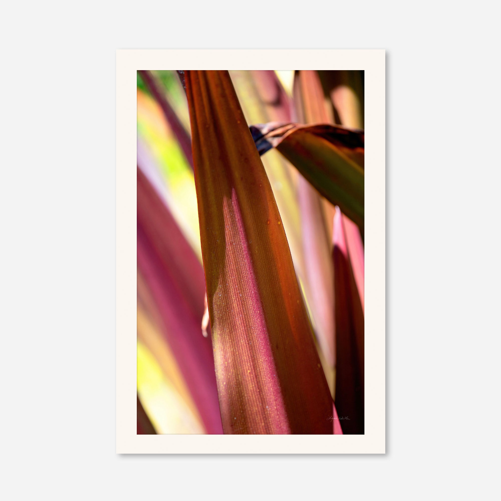 Red Leaves no. 5