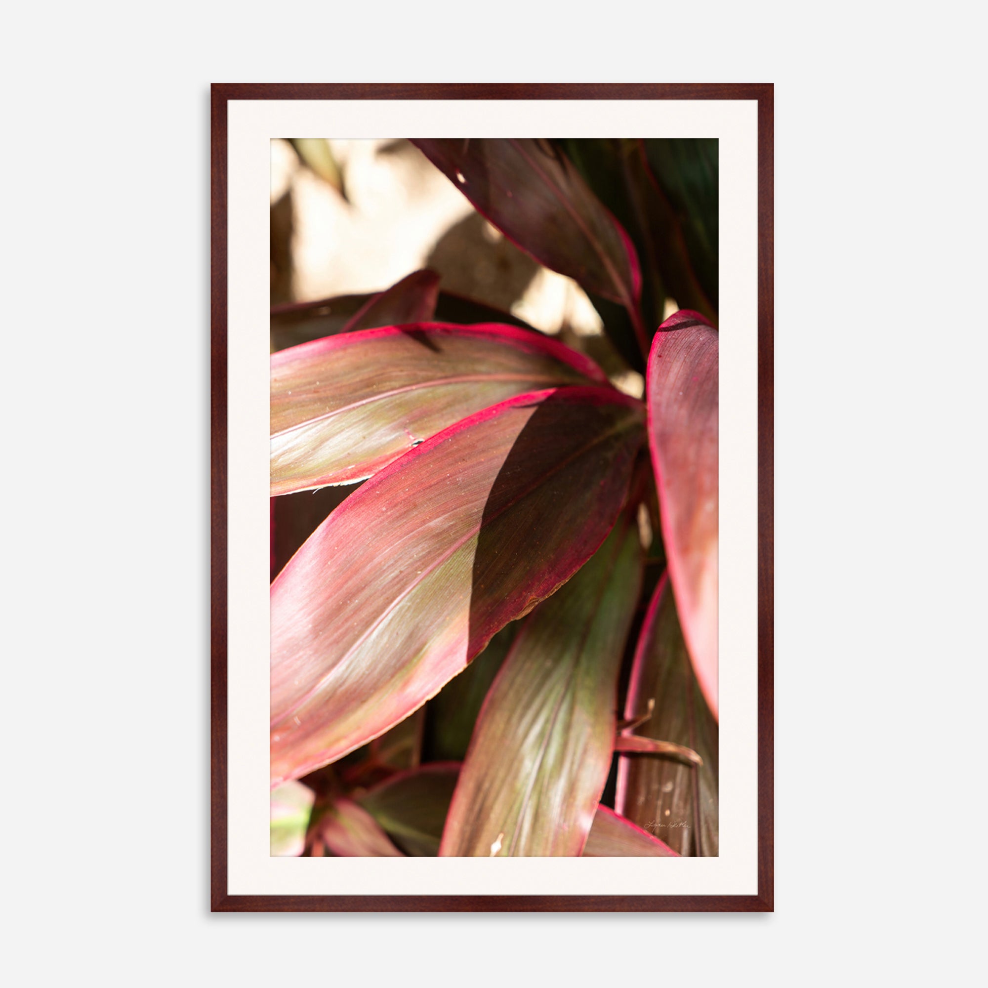 Red Leaves no. 3