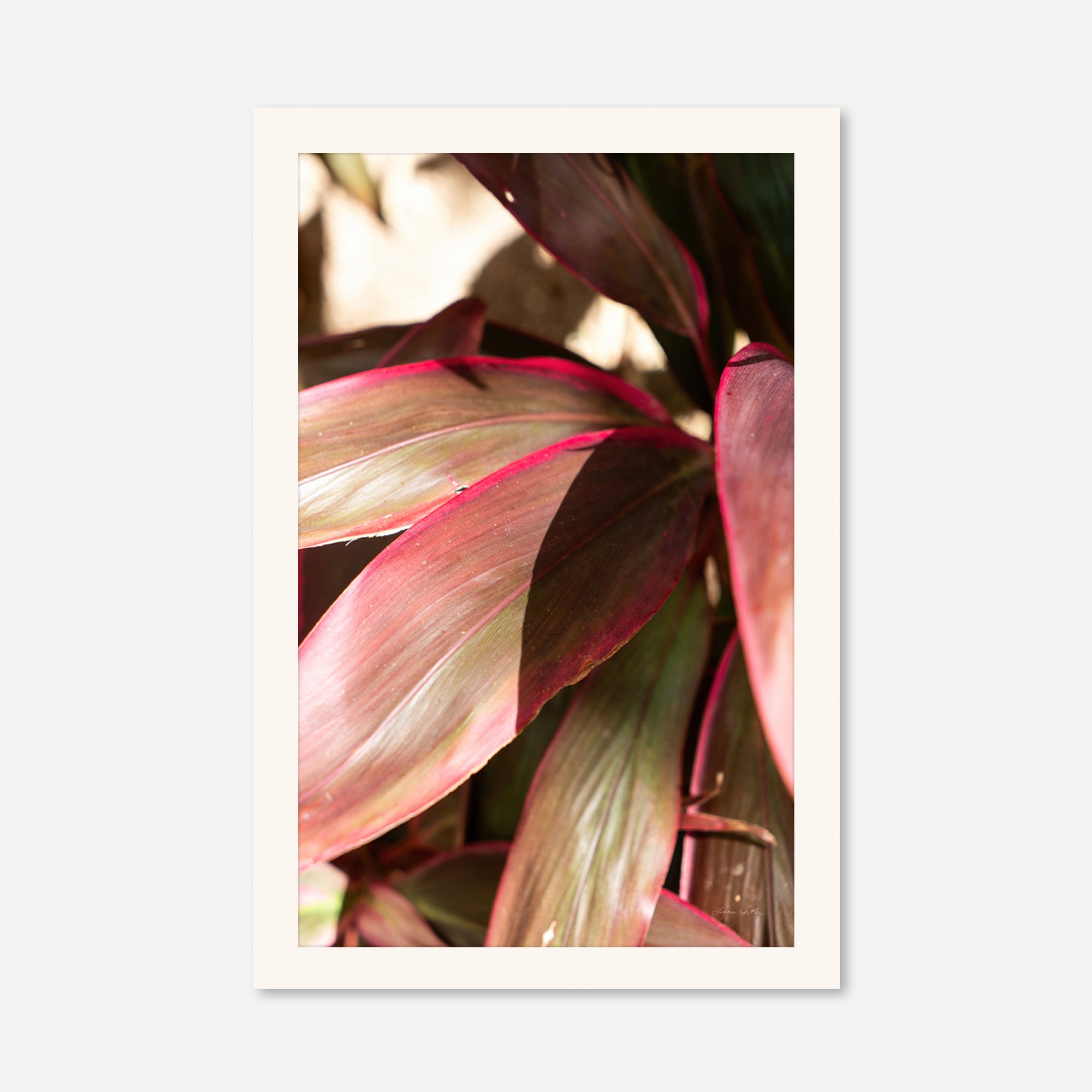 Red Leaves no. 3