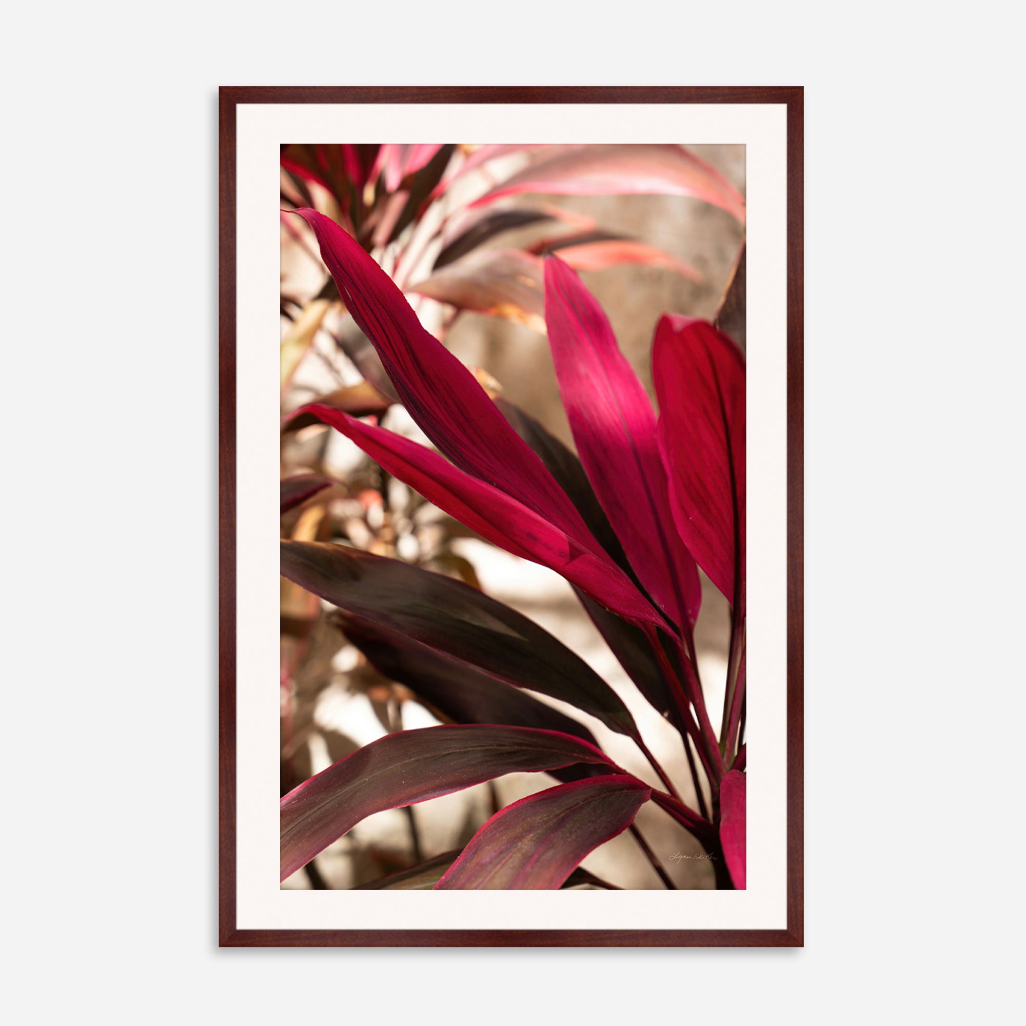 Red Leaves no. 2