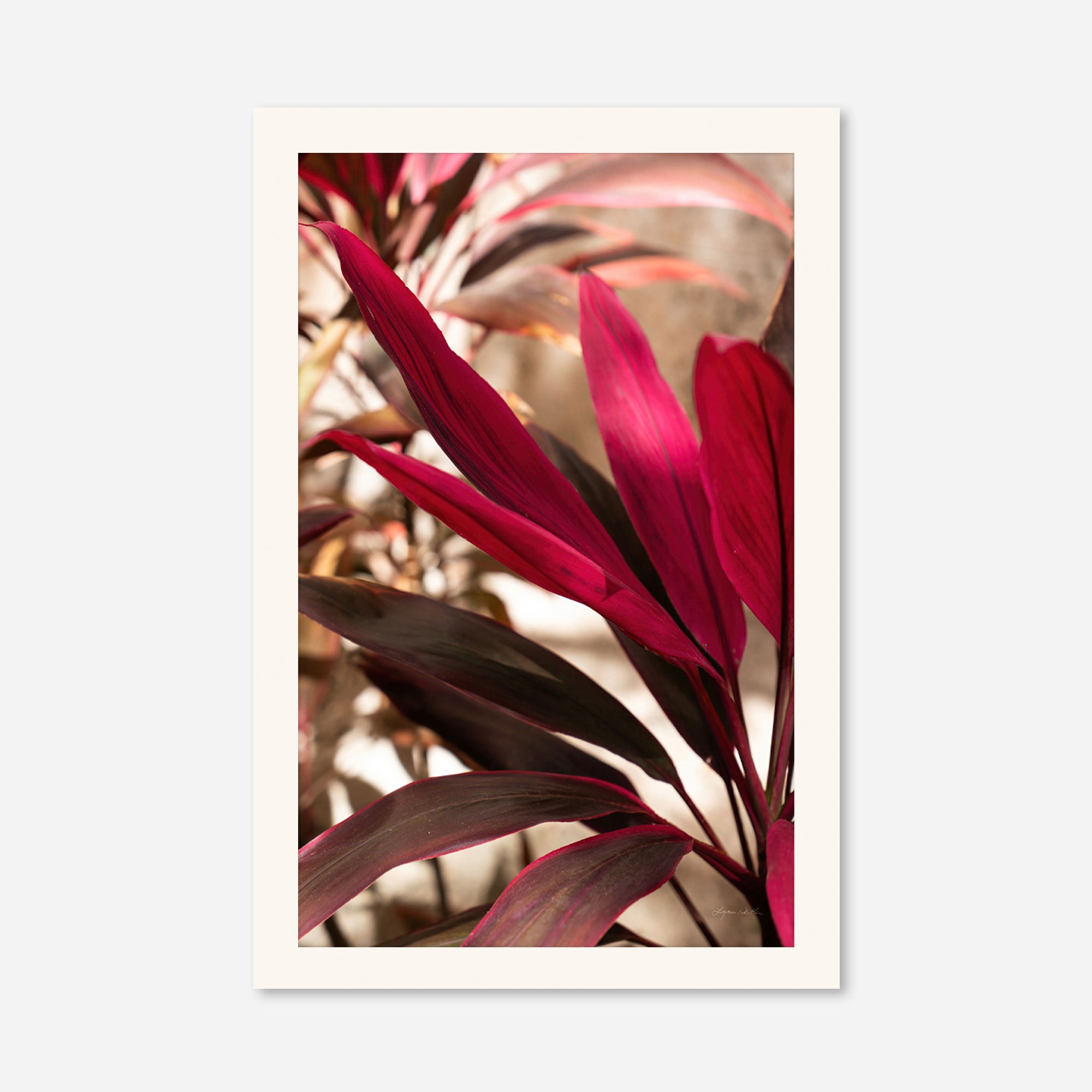 Red Leaves no. 2