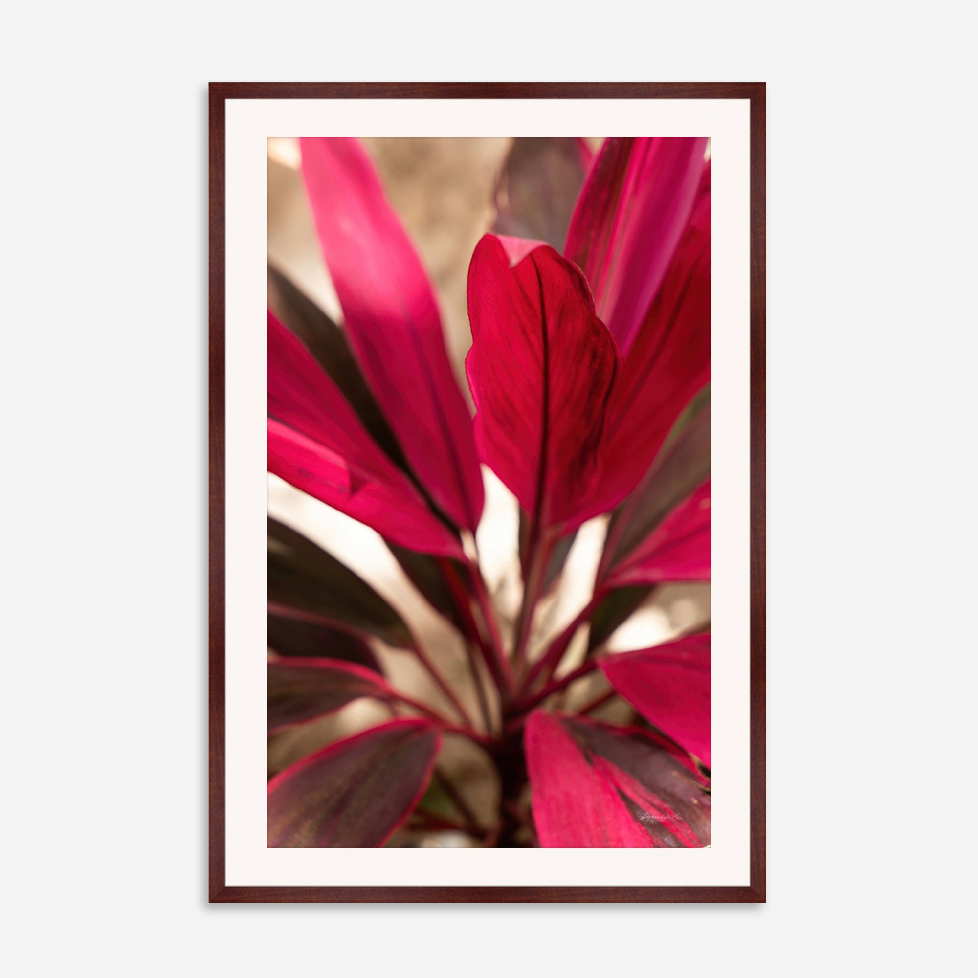 Red Leaves no. 1