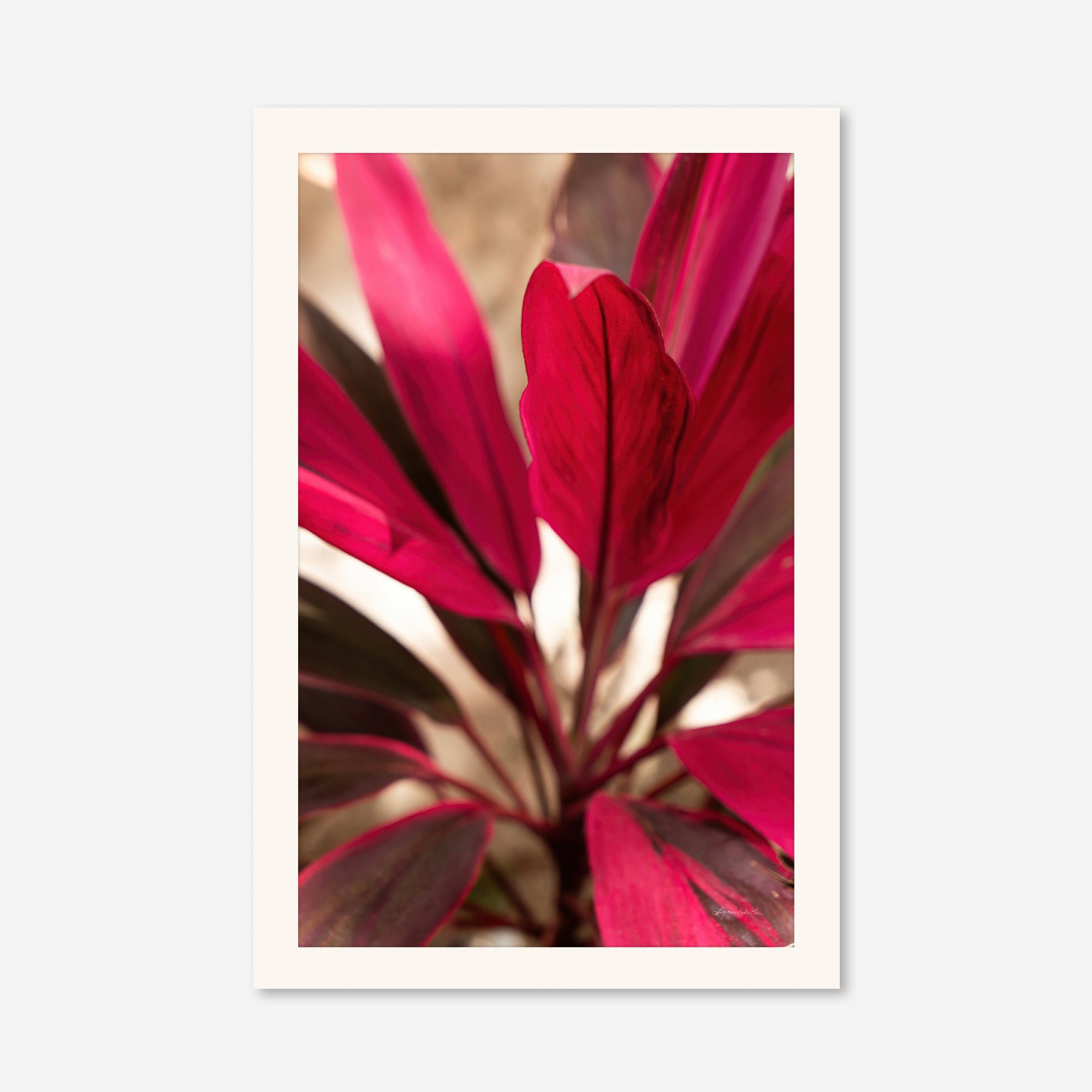 Red Leaves no. 1