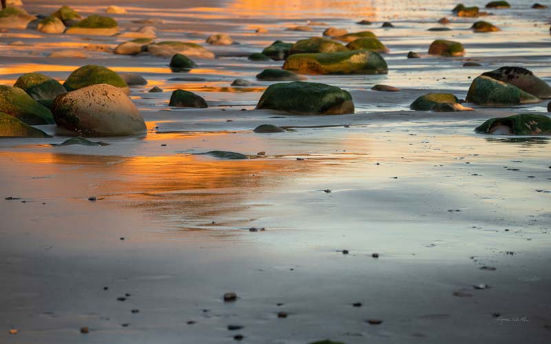 Reflections no. 19